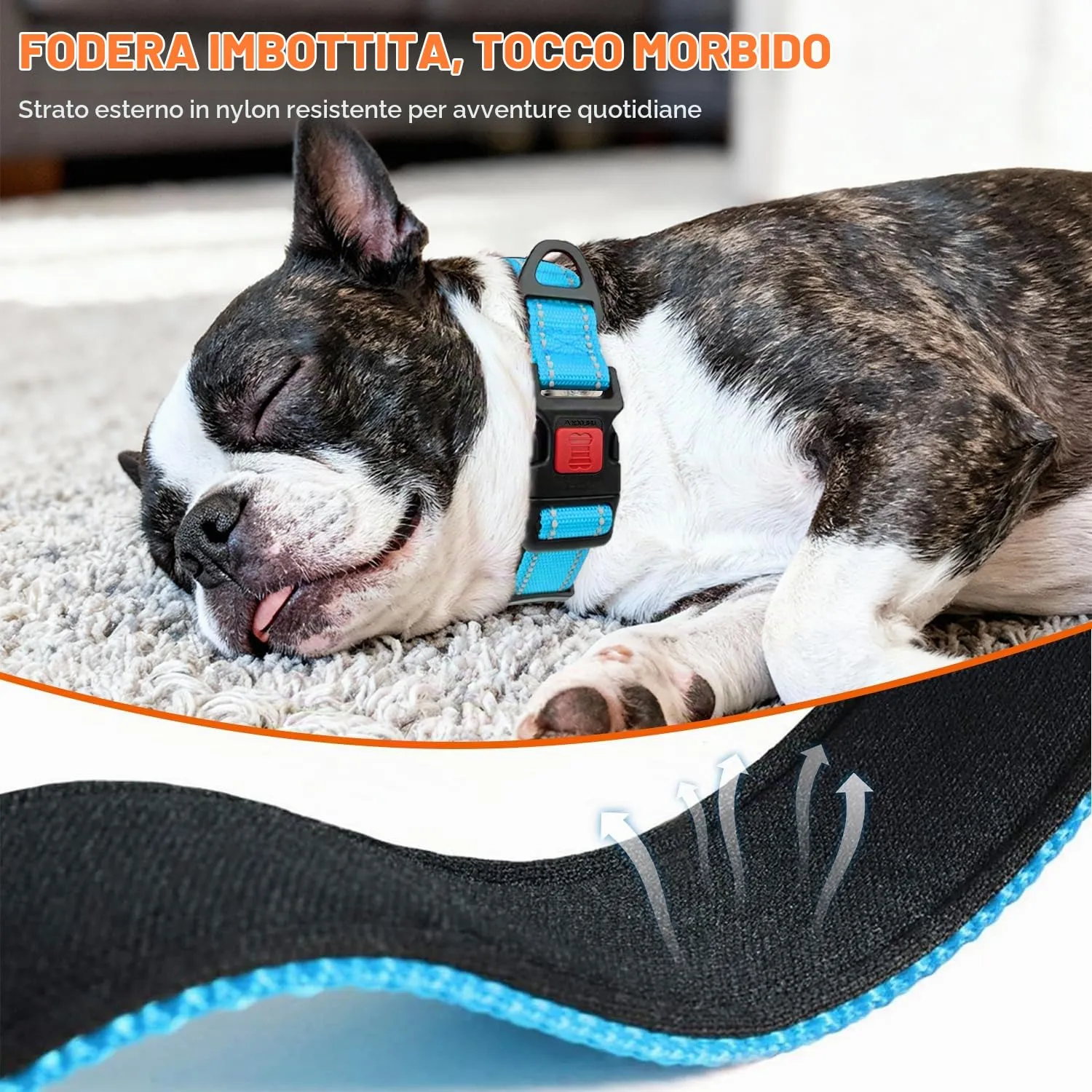Taglory Collare per Cani in Nylon Imbottito Regolabile Riflettente, Taglia S, Cielo Blu - immagine 4