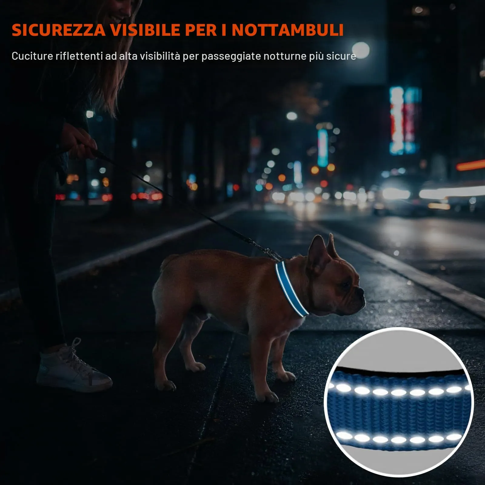Taglory Collare per Cani in Nylon Imbottito Regolabile Riflettente, Taglia S, Cielo Blu - immagine 5