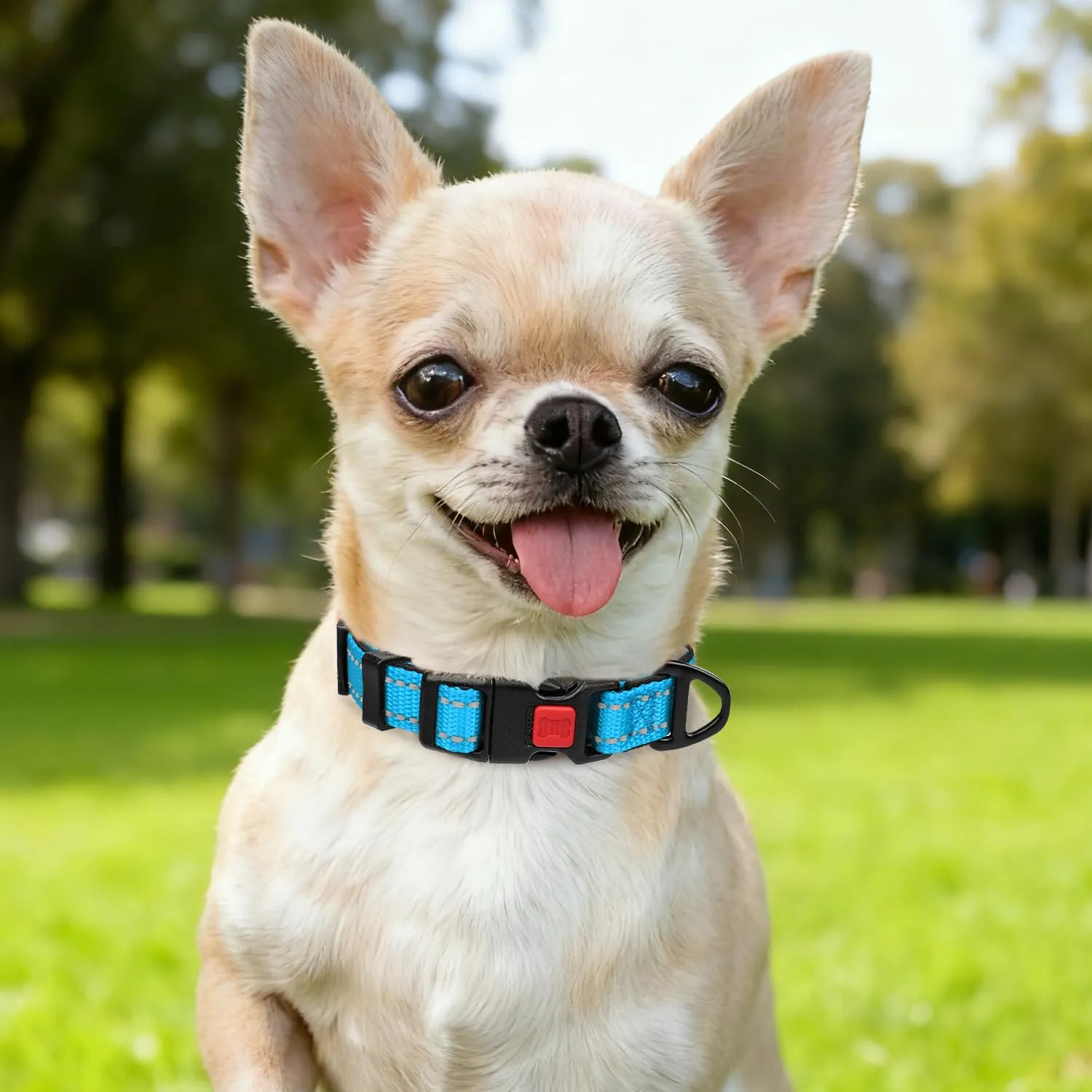 Taglory Collare per Cani in Nylon Imbottito Regolabile e Riflettente, Cielo Blu, XS - immagine 2