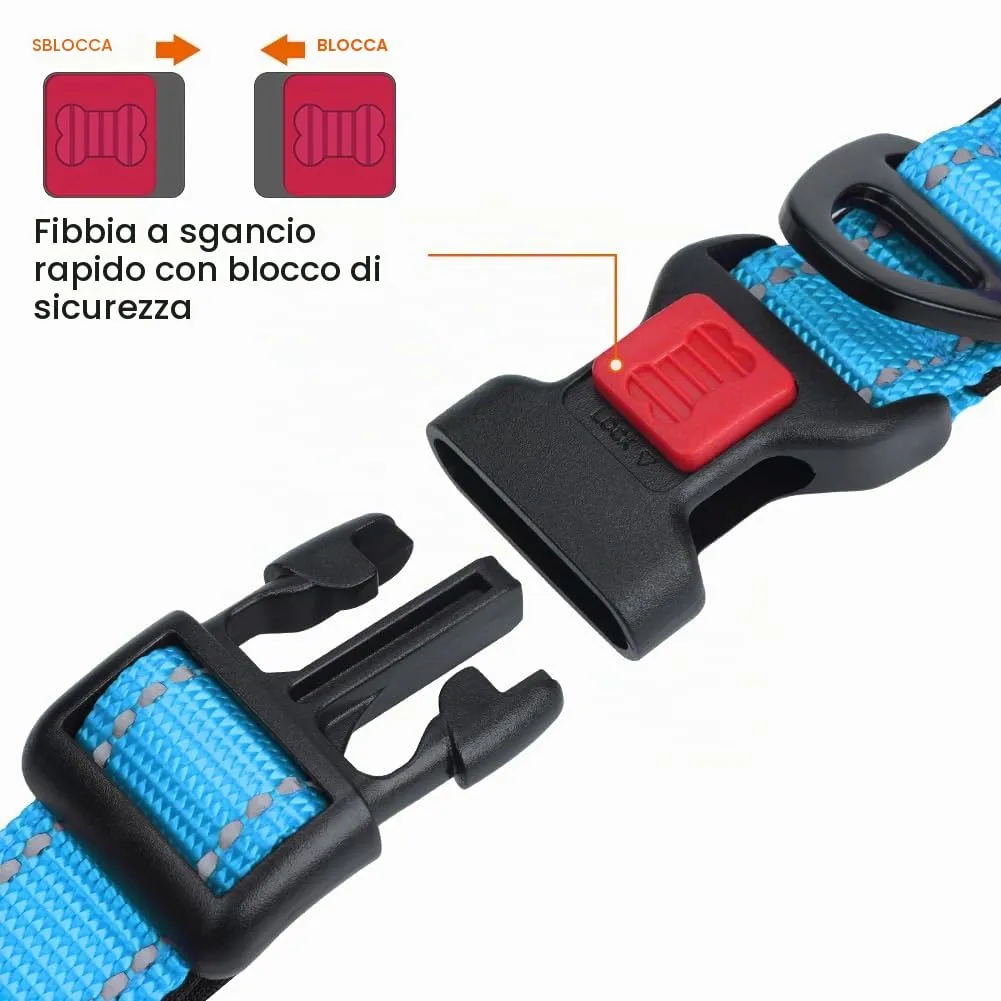 Taglory Collare per Cani in Nylon Imbottito Regolabile e Riflettente, Cielo Blu, XS - immagine 3