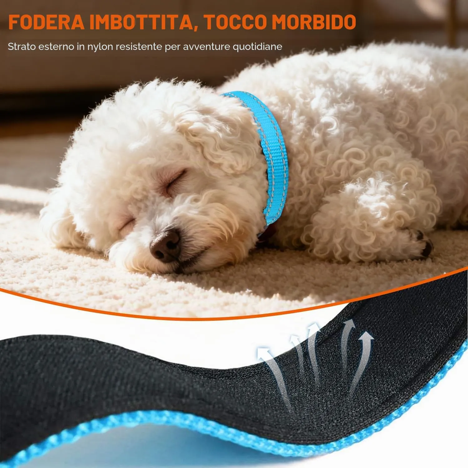Taglory Collare per Cani in Nylon Imbottito Regolabile e Riflettente, Cielo Blu, XS - immagine 4