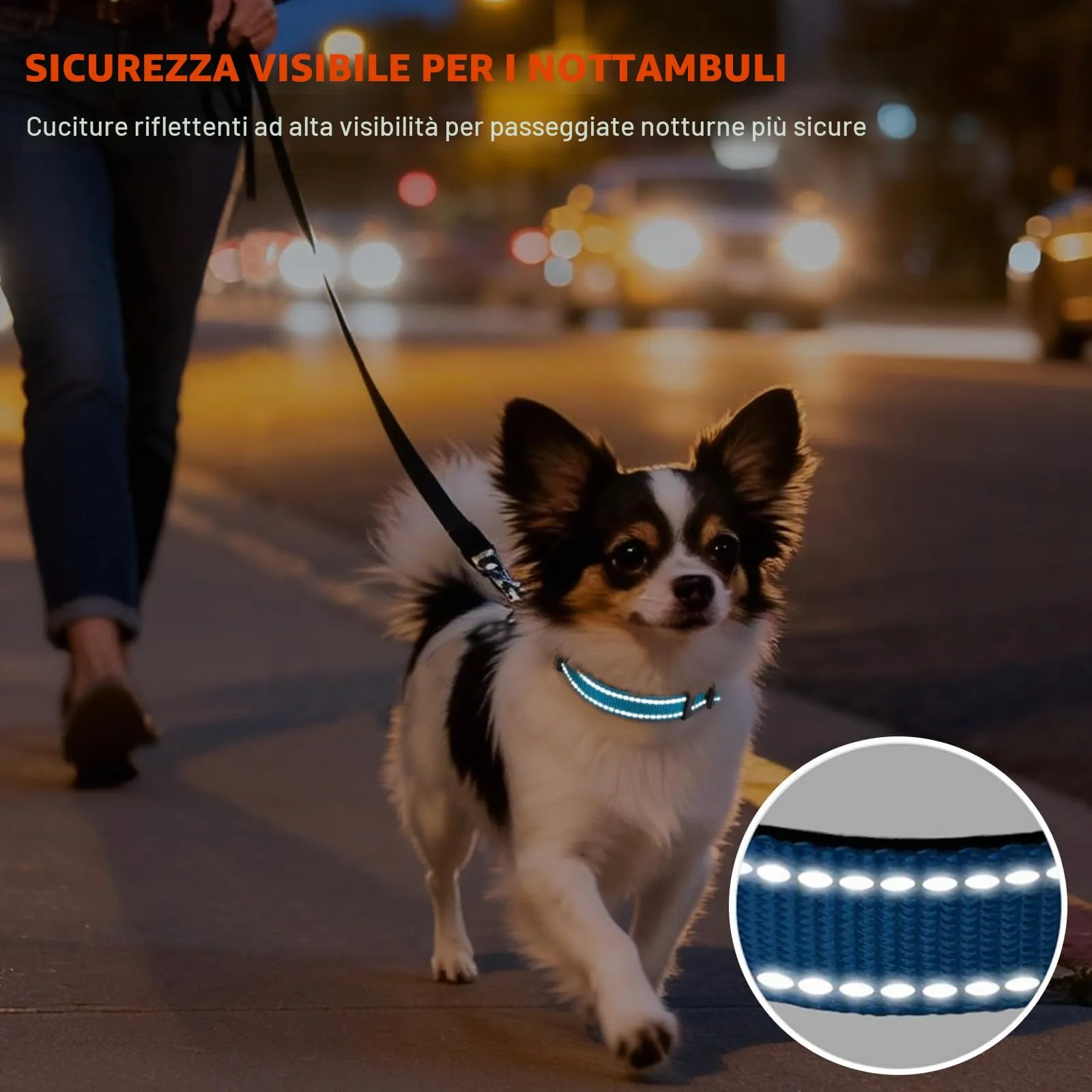 Taglory Collare per Cani in Nylon Imbottito Regolabile e Riflettente, Cielo Blu, XS - immagine 5