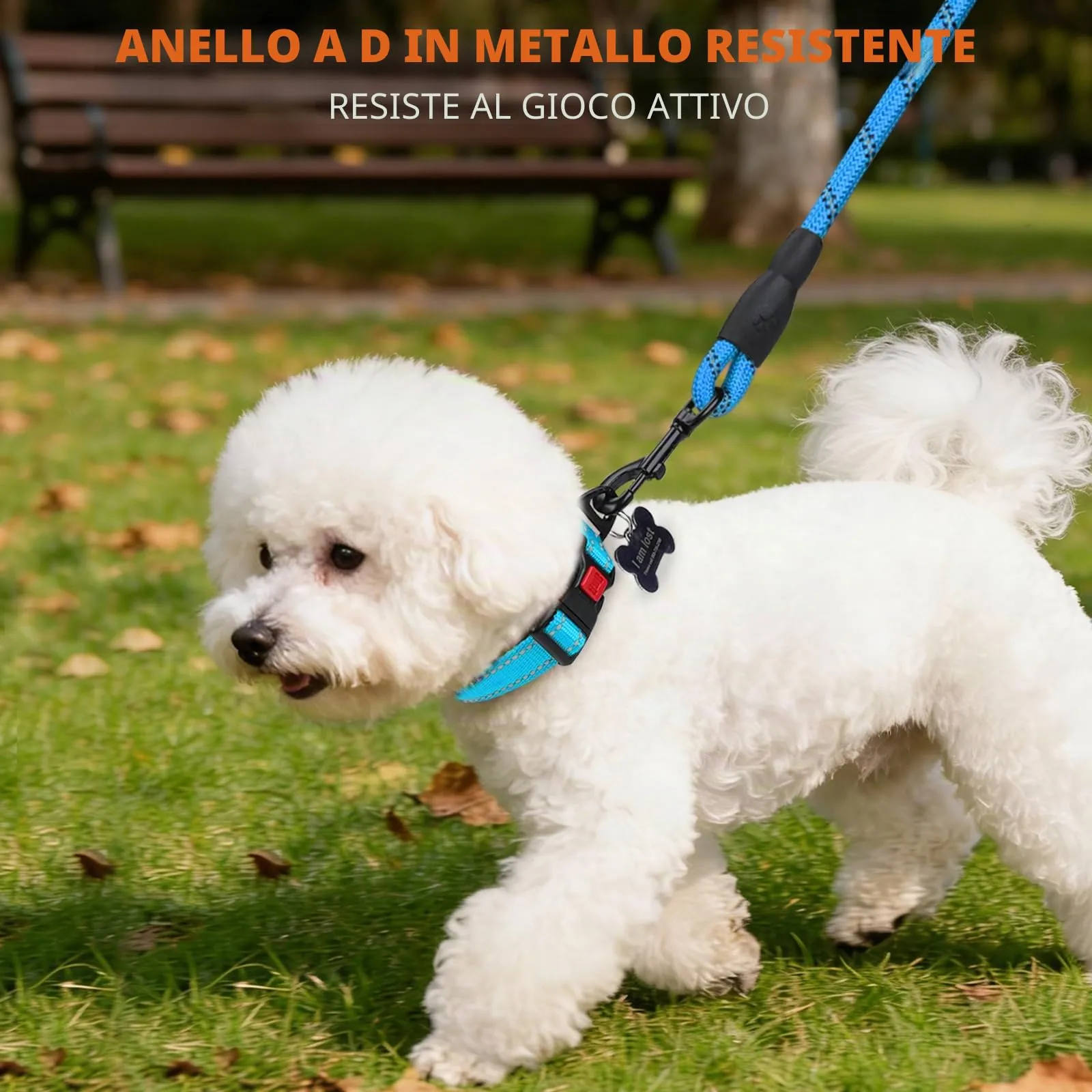 Taglory Collare per Cani in Nylon Imbottito Regolabile e Riflettente, Cielo Blu, XS - immagine 6