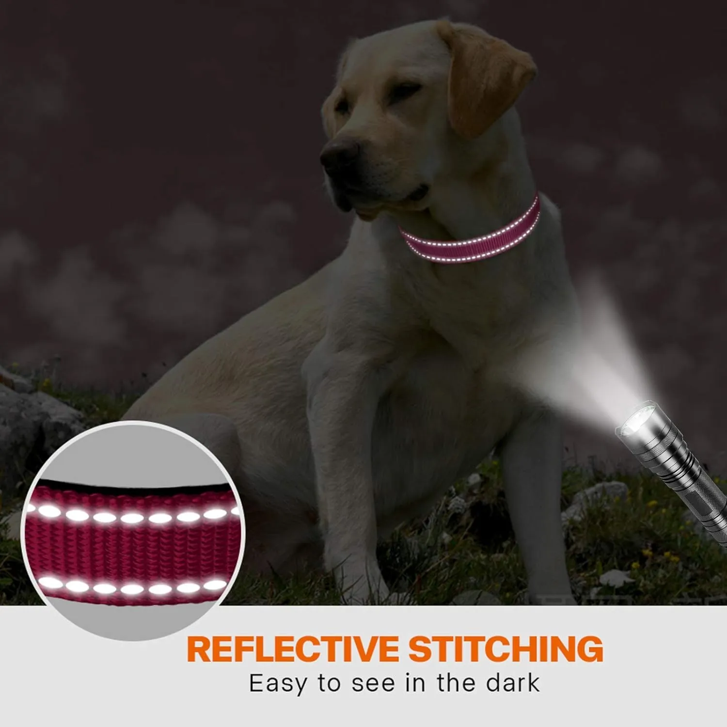 Taglory Collare per Cani in Nylon Imbottito, Riflettente e Regolabile, Taglia XL, Rosa Caldo - immagine 5