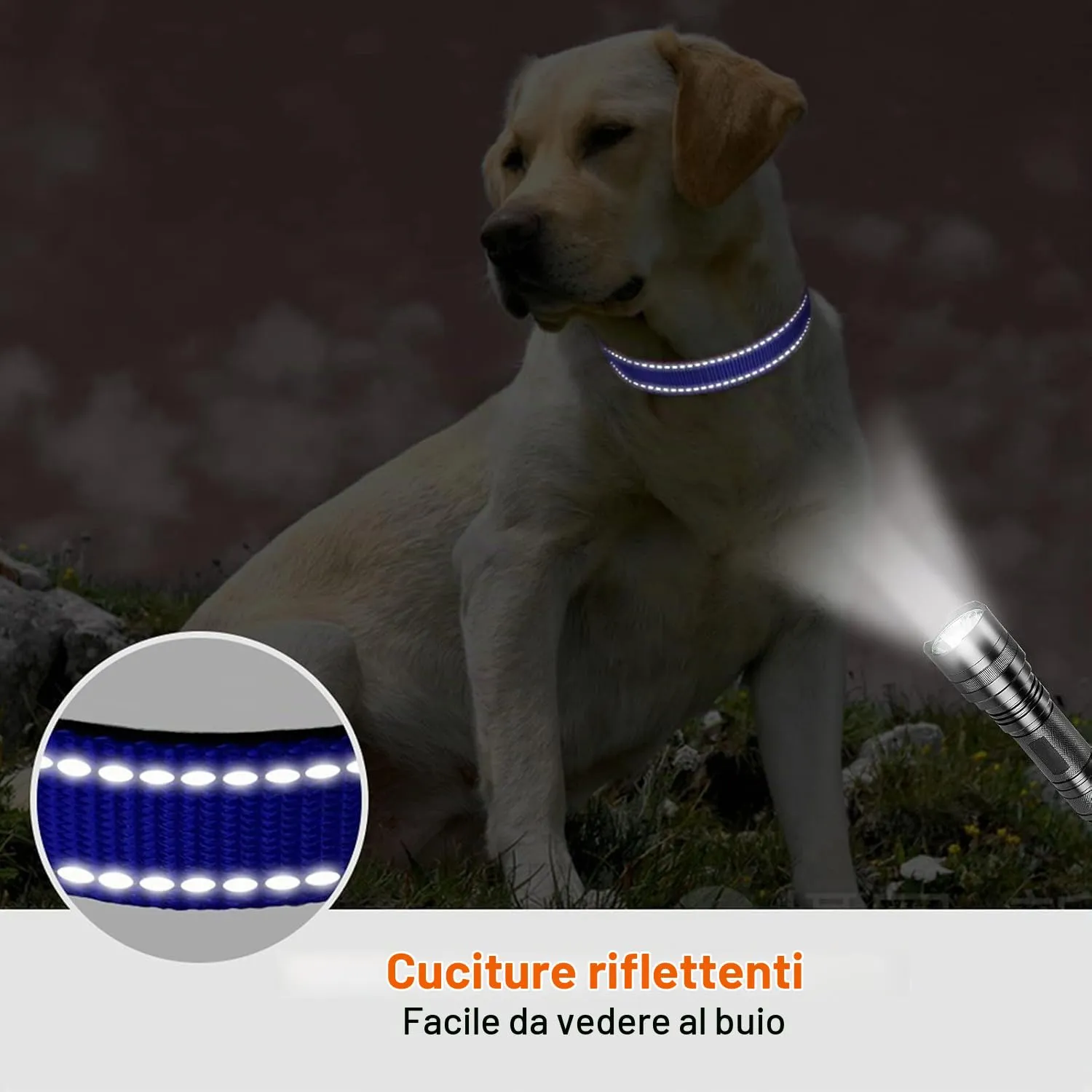 Taglory Collare per Cani in Nylon Imbottito, Riflettente e Regolabile, Blu Scuro, Taglia XL - immagine 5