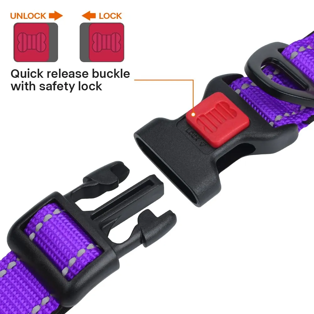 Taglory Collare per Cani in Nylon Imbottito Riflettente, Taglia XL, Viola - immagine 3