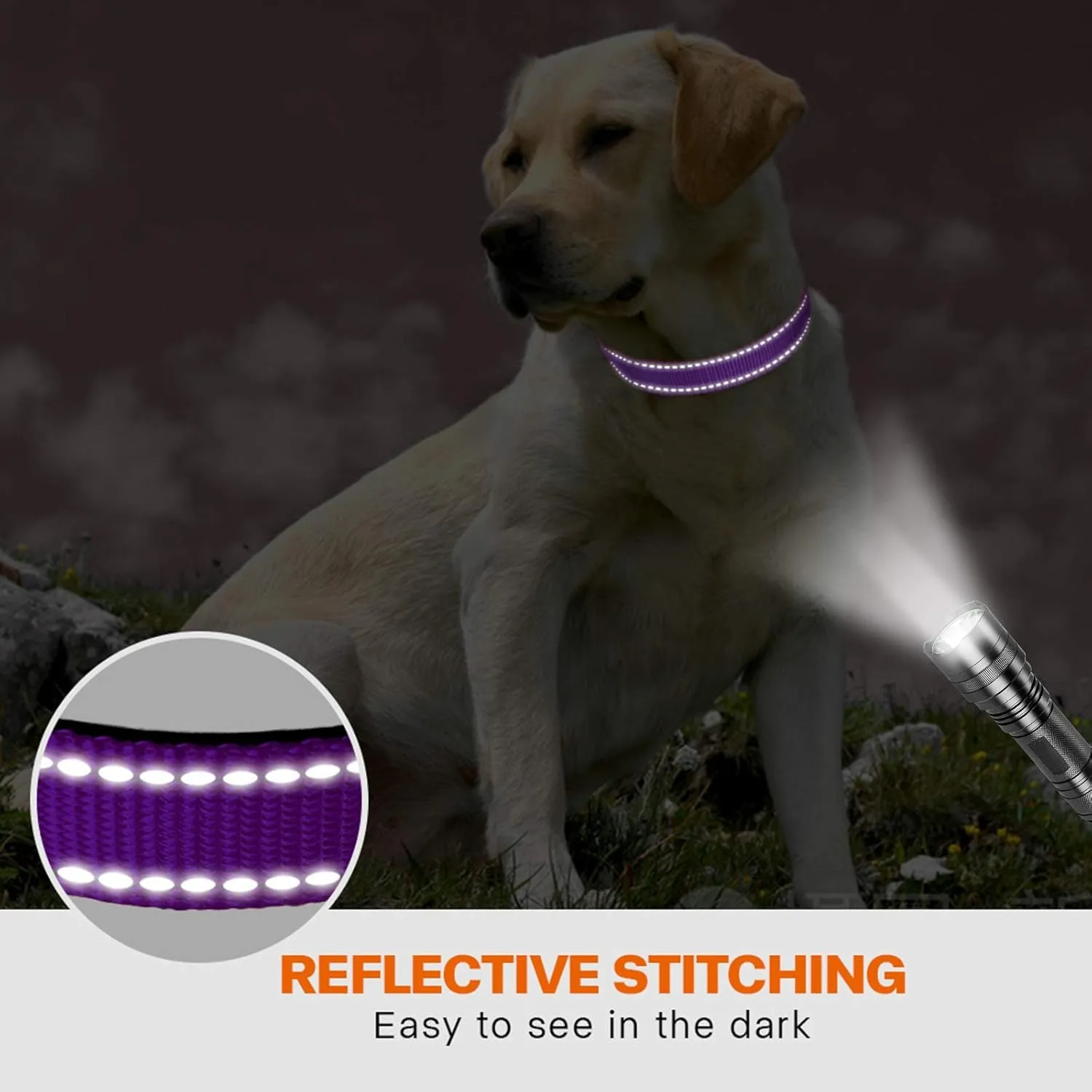 Taglory Collare per Cani in Nylon Imbottito Riflettente, Taglia XL, Viola - immagine 5