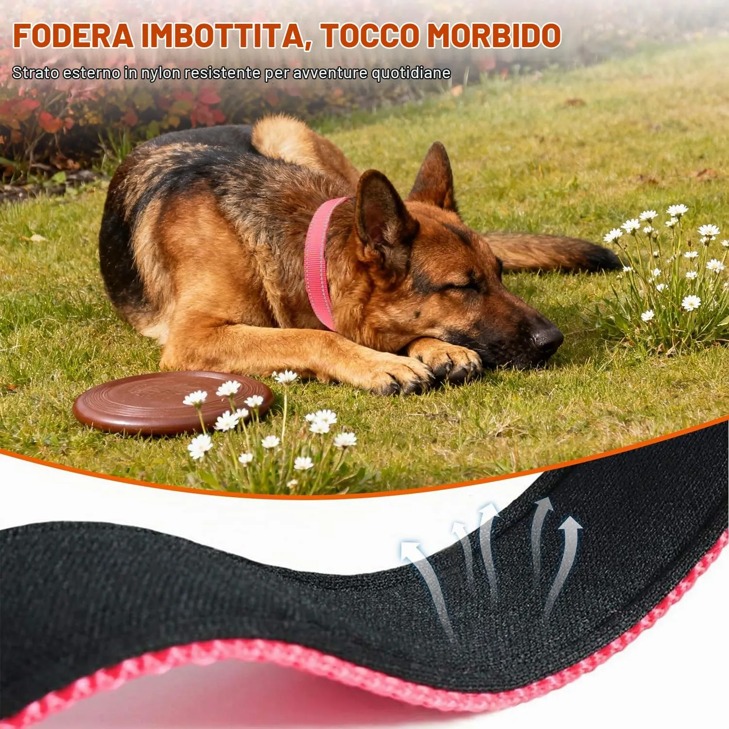Taglory Collare per Cani in Nylon Imbottito Riflettente, Rosa, Taglia XL - immagine 4