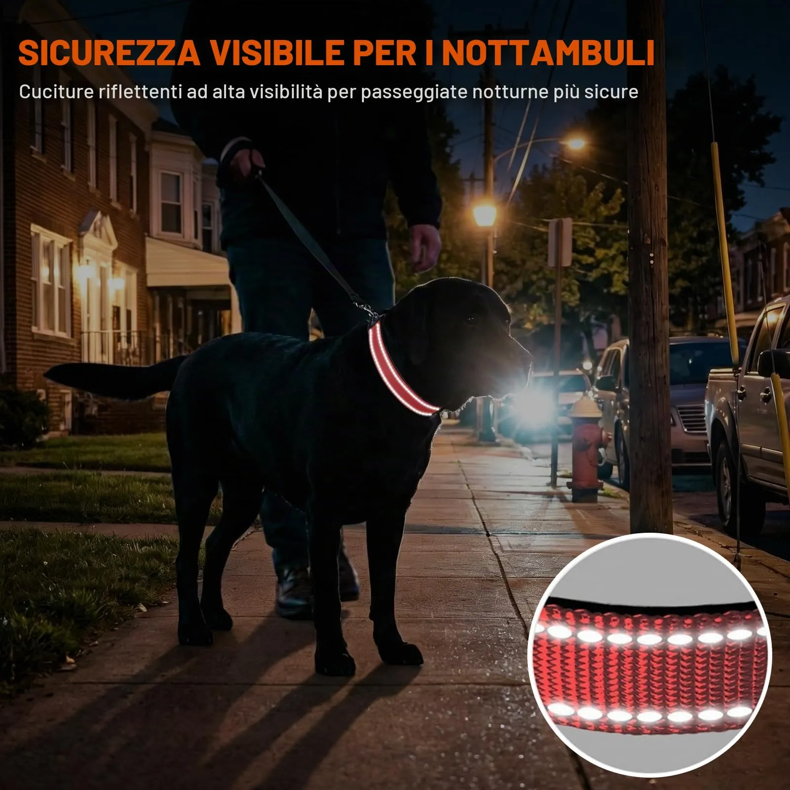 Taglory Collare per Cani in Nylon Imbottito Riflettente, Rosa, Taglia XL - immagine 5