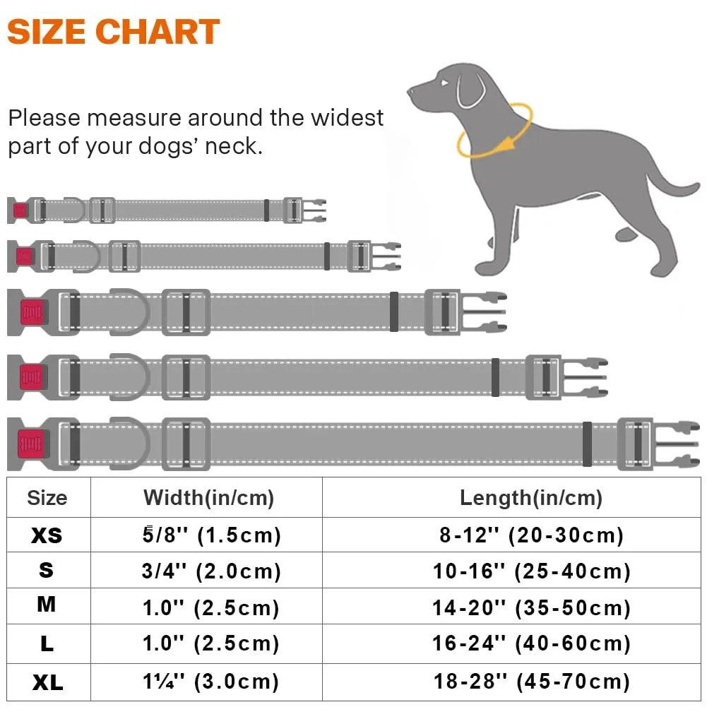 Taglory Collare per Cani in Nylon Imbottito, Riflettente e Regolabile, Blu Scuro, XS - immagine 6