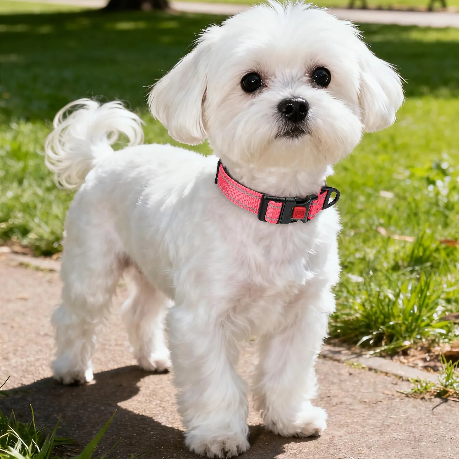Taglory Collare per Cani in Nylon Imbottito Riflettente, Rosa, Taglia S - immagine 2