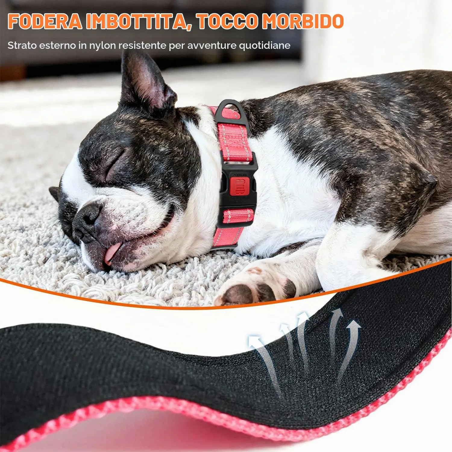 Taglory Collare per Cani in Nylon Imbottito Riflettente, Rosa, Taglia S - immagine 4
