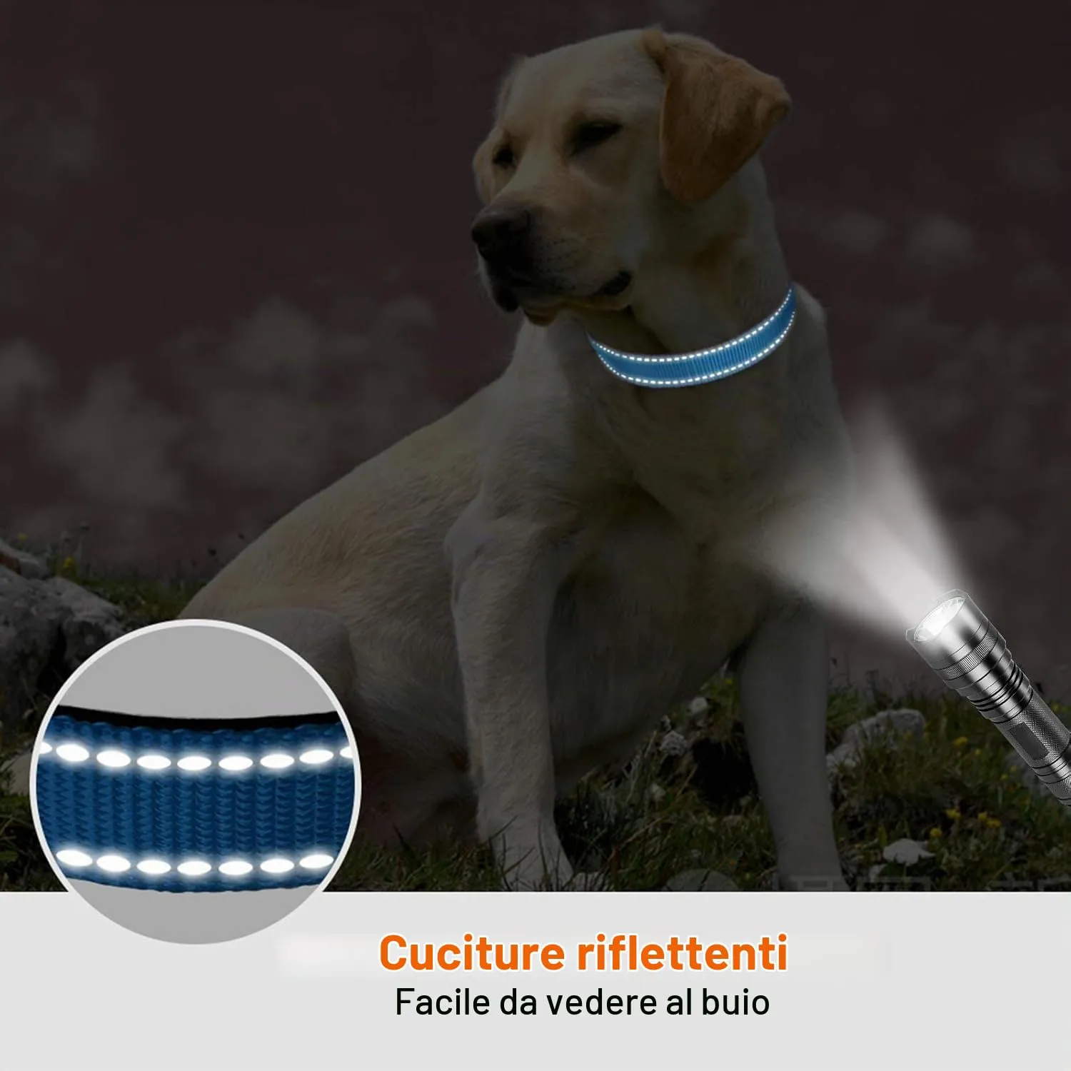 Taglory Collare per Cani in Nylon Imbottito Riflettente, Taglia Media, Cielo Blu - immagine 5