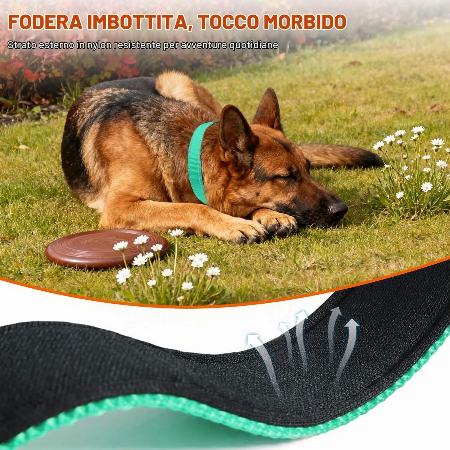 Taglory Collare per Cani in Nylon Imbottito Riflettente, Taglia XL, Turchese - immagine 4