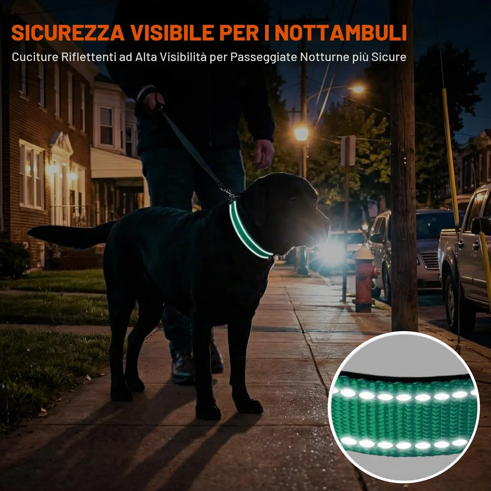 Taglory Collare per Cani in Nylon Imbottito Riflettente, Taglia XL, Turchese - immagine 5