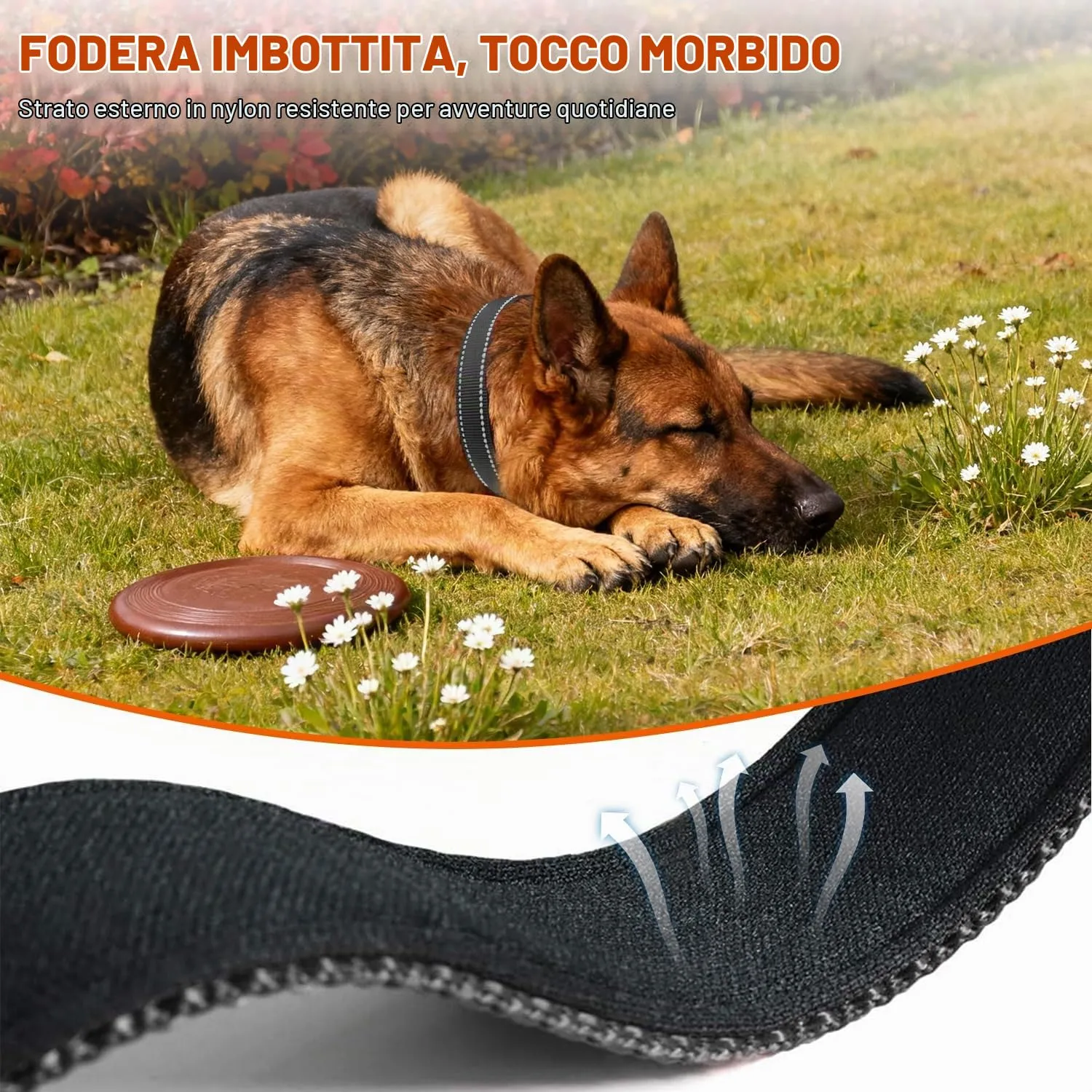 Taglory Collare per Cani in Nylon Imbottito Riflettente, Nero, Taglia XL - immagine 4