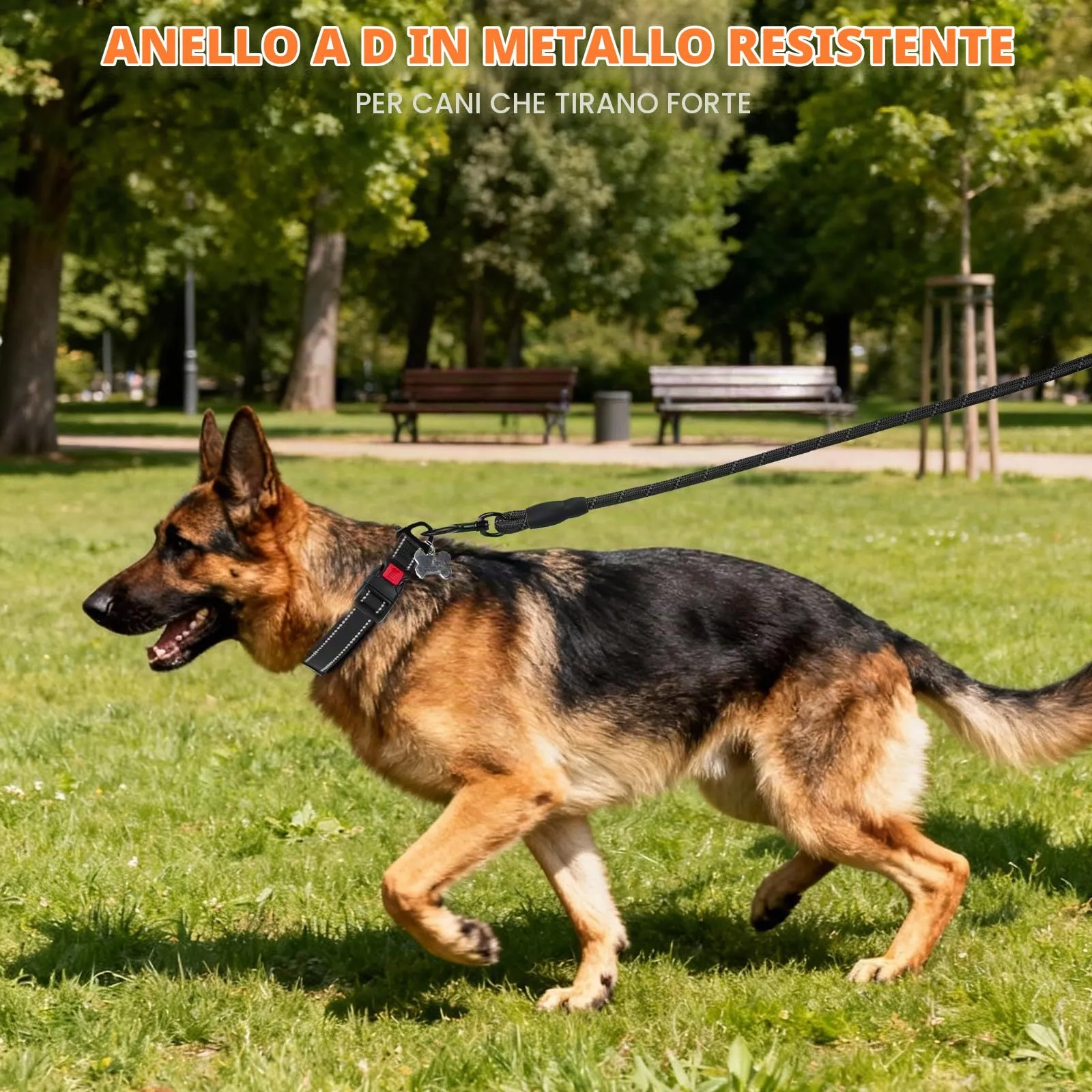 Taglory Collare per Cani in Nylon Imbottito Riflettente, Nero, Taglia XL - immagine 6