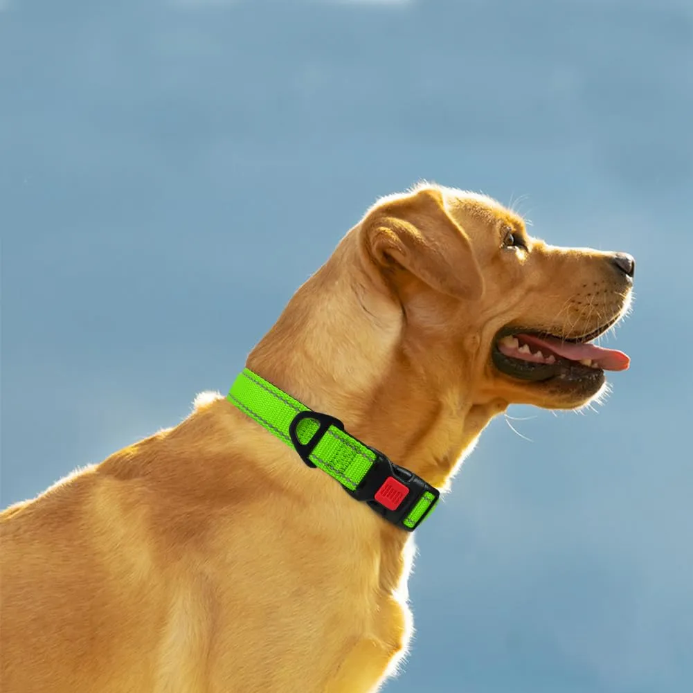 Taglory Collare per Cani in Nylon Imbottito Riflettente, Verde, Taglia XL - immagine 2