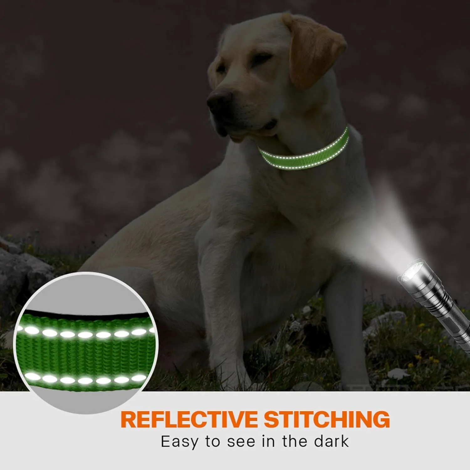 Taglory Collare per Cani in Nylon Imbottito Riflettente, Verde, Taglia XL - immagine 5