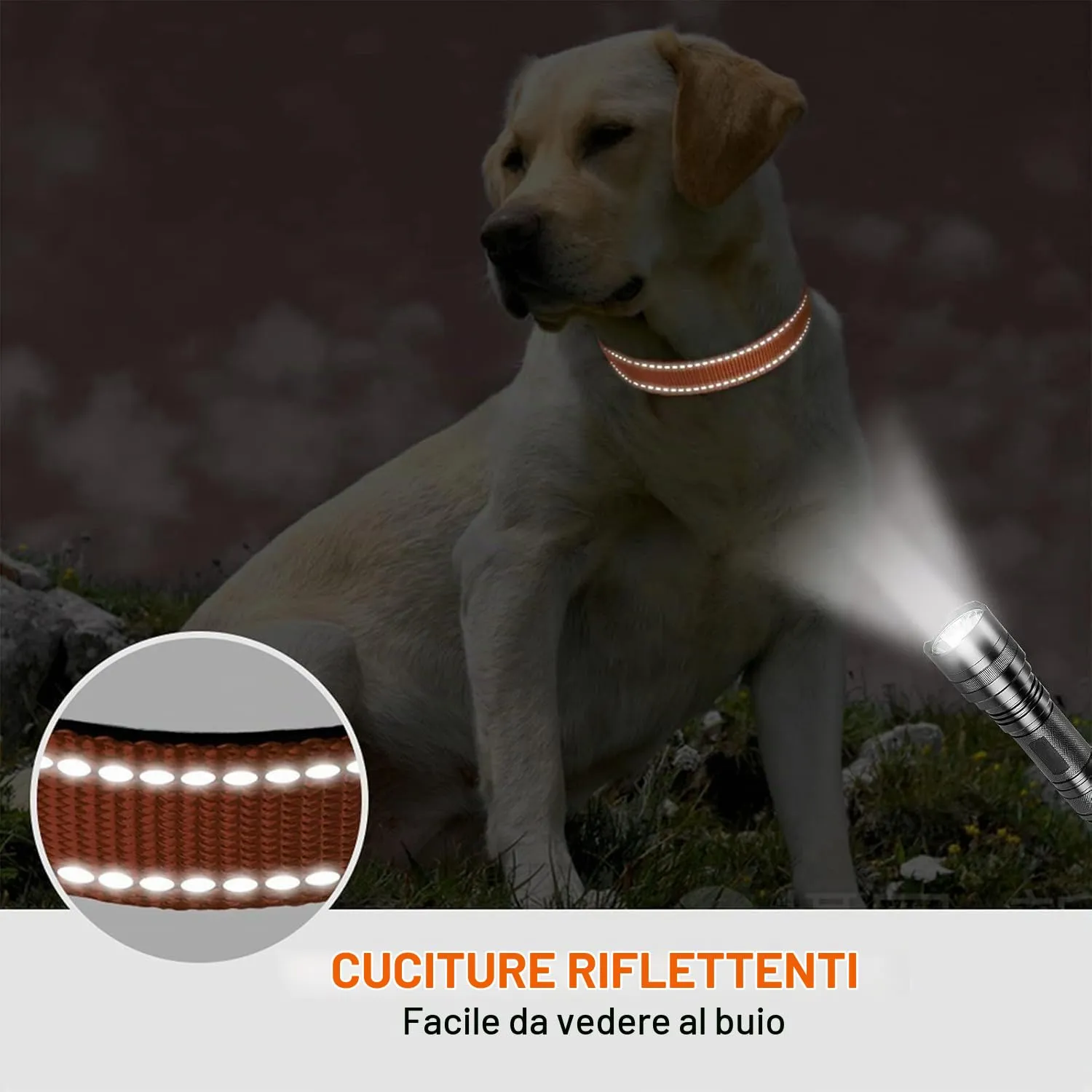 Taglory Collare per Cani in Nylon Imbottito Riflettente, Taglia XL, Arancione - immagine 5