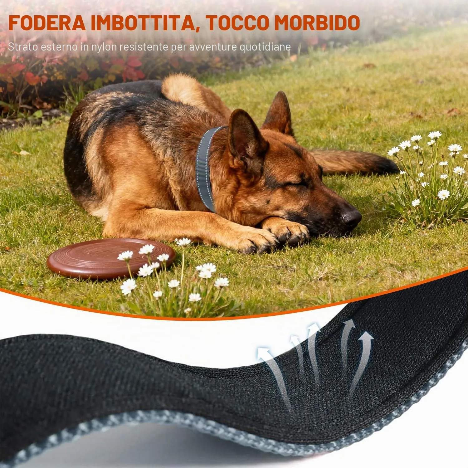 Taglory Collare per Cani in Nylon Imbottito Riflettente, Grigio, Taglia XL - immagine 4
