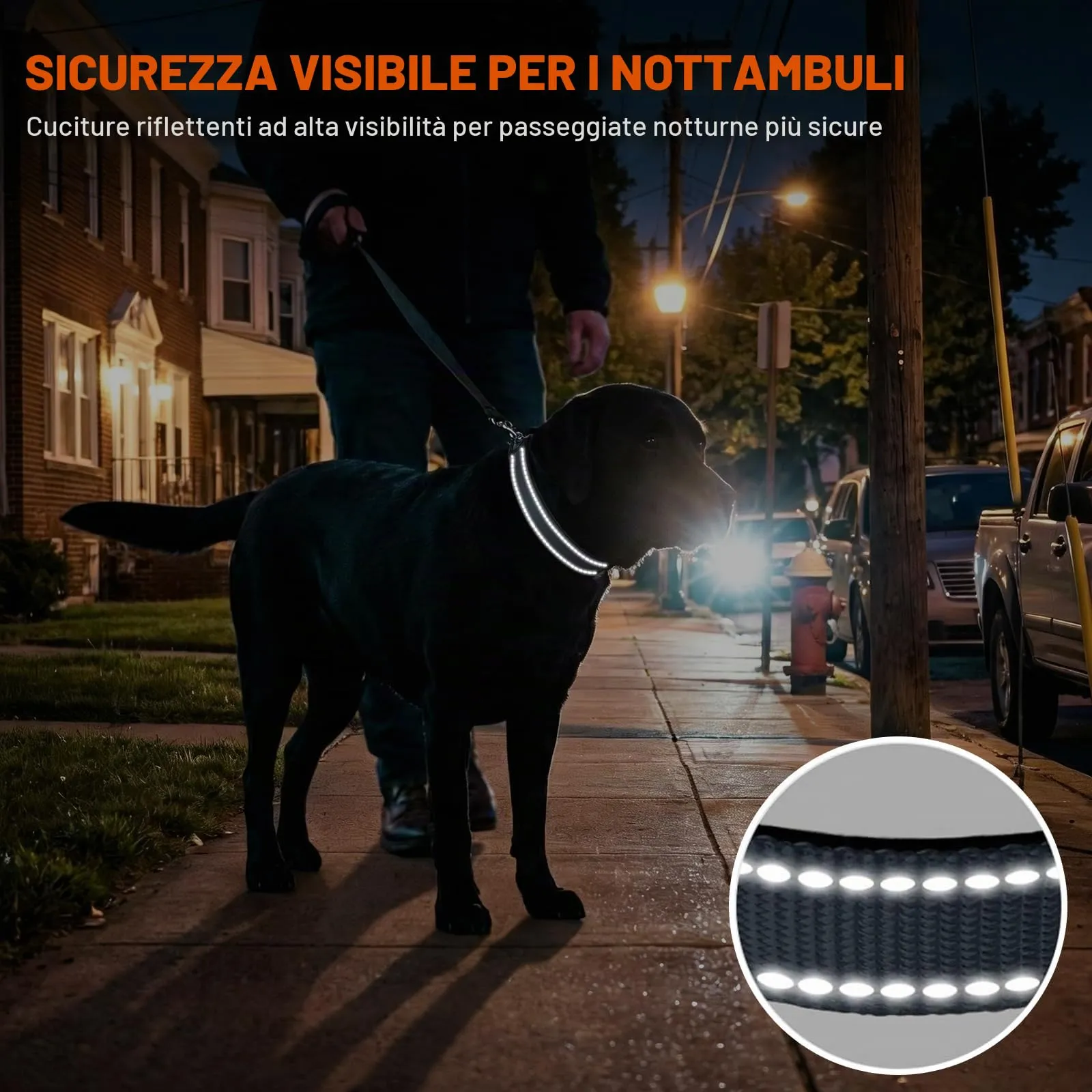 Taglory Collare per Cani in Nylon Imbottito Riflettente, Grigio, Taglia XL - immagine 5