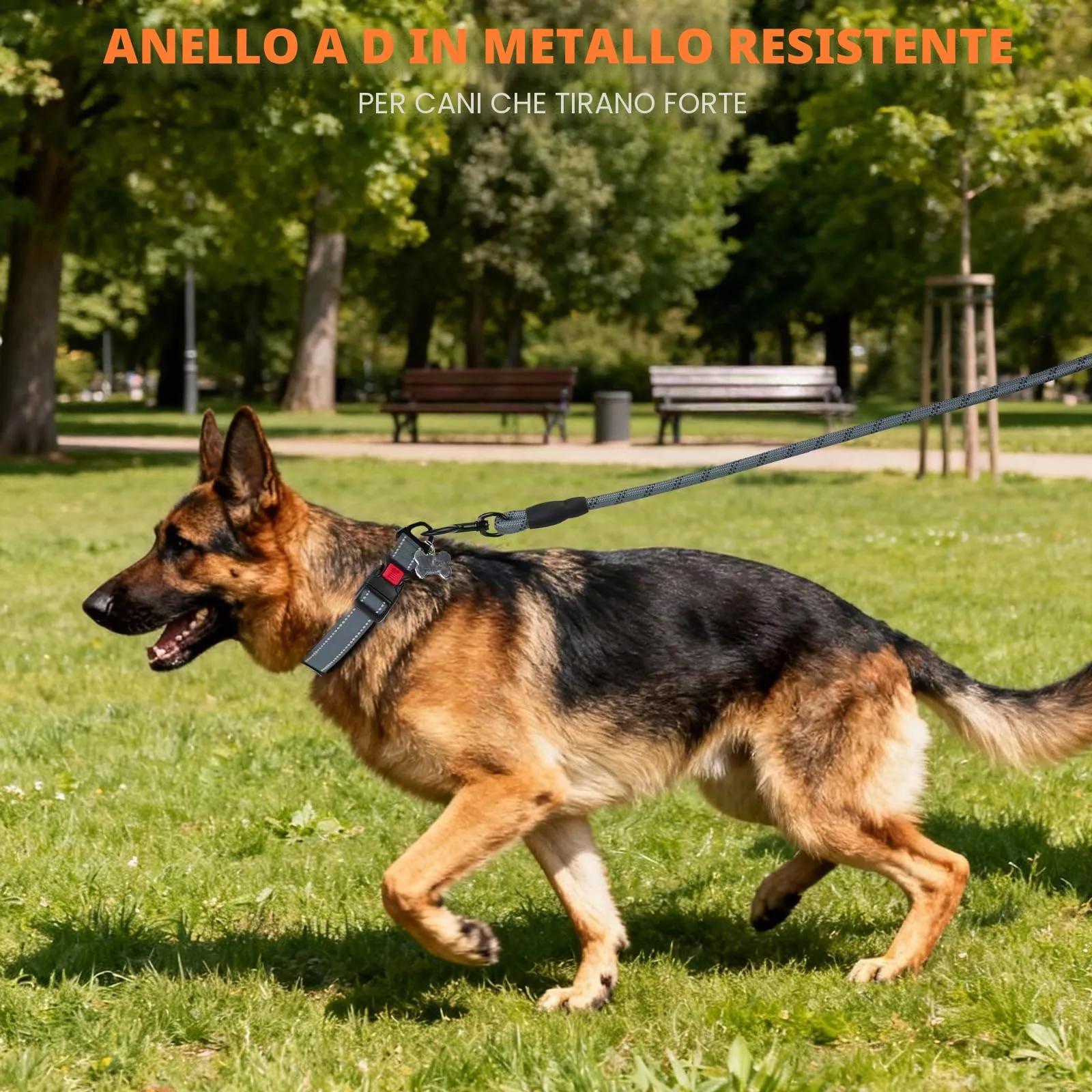 Taglory Collare per Cani in Nylon Imbottito Riflettente, Grigio, Taglia XL - immagine 6