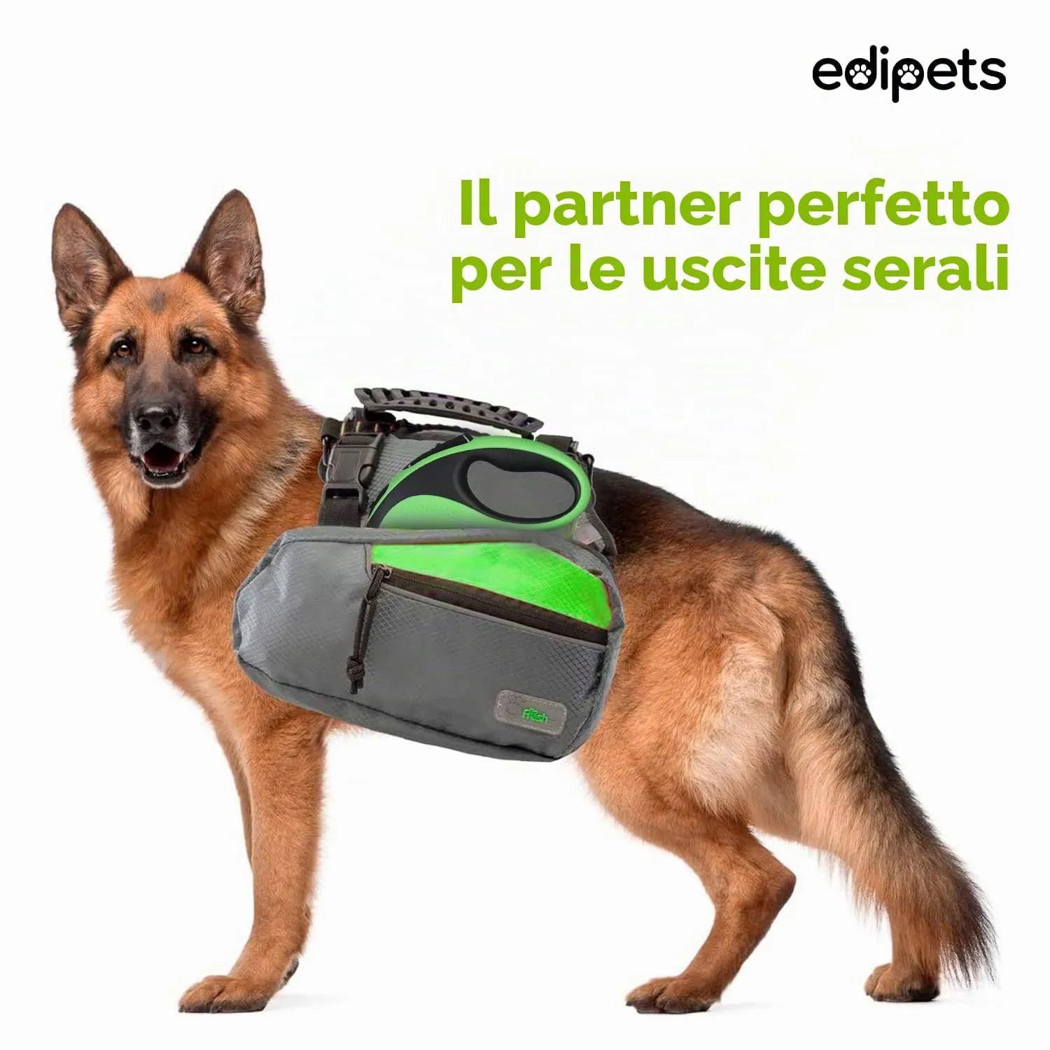 Edipets Guinzaglio per cani estensibile retrattile, 5 metri, verde - immagine 5