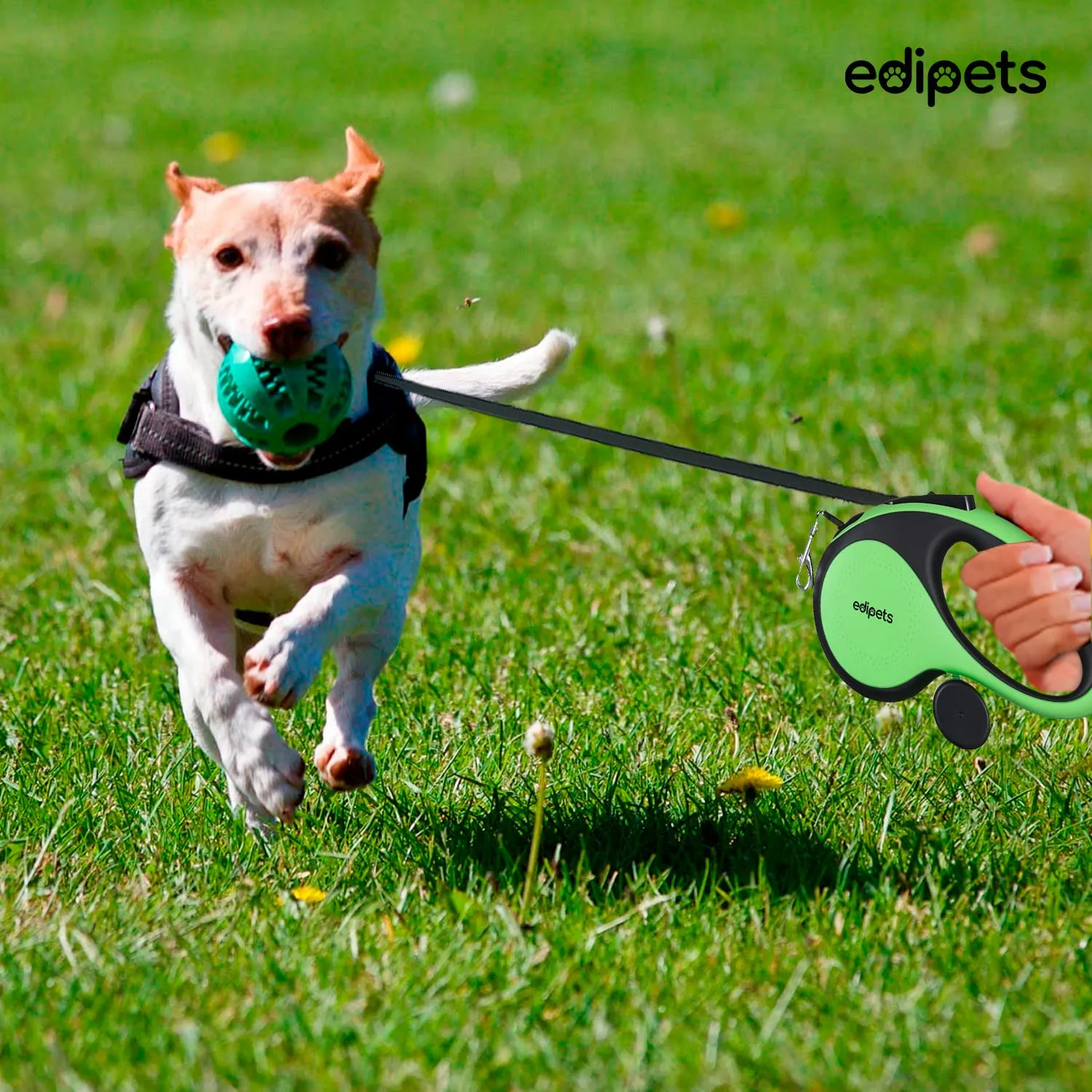 Edipets Guinzaglio per cani estensibile retrattile, 5 metri, verde - immagine 6