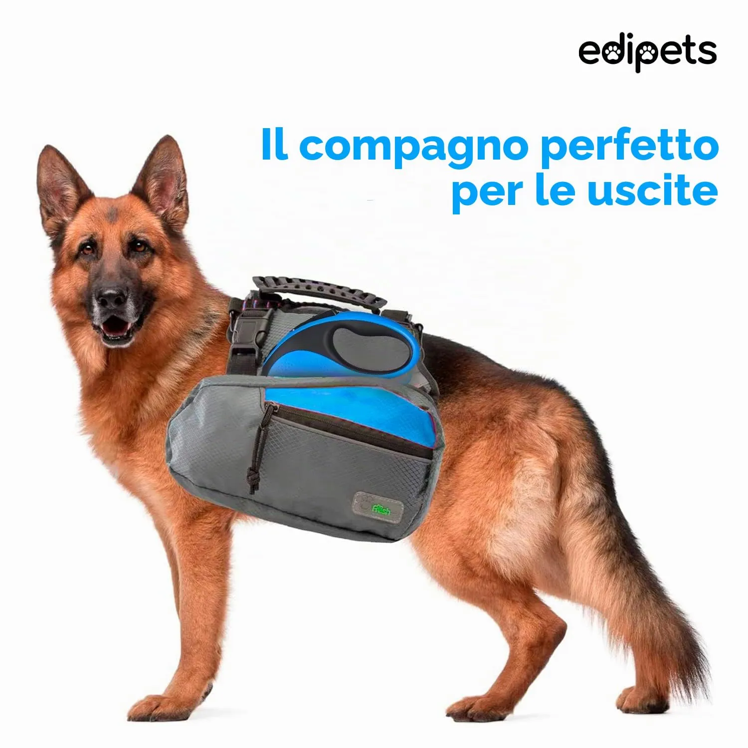 Edipets Guinzaglio per Cani Retrattile, 5 Metri, Blu - immagine 5