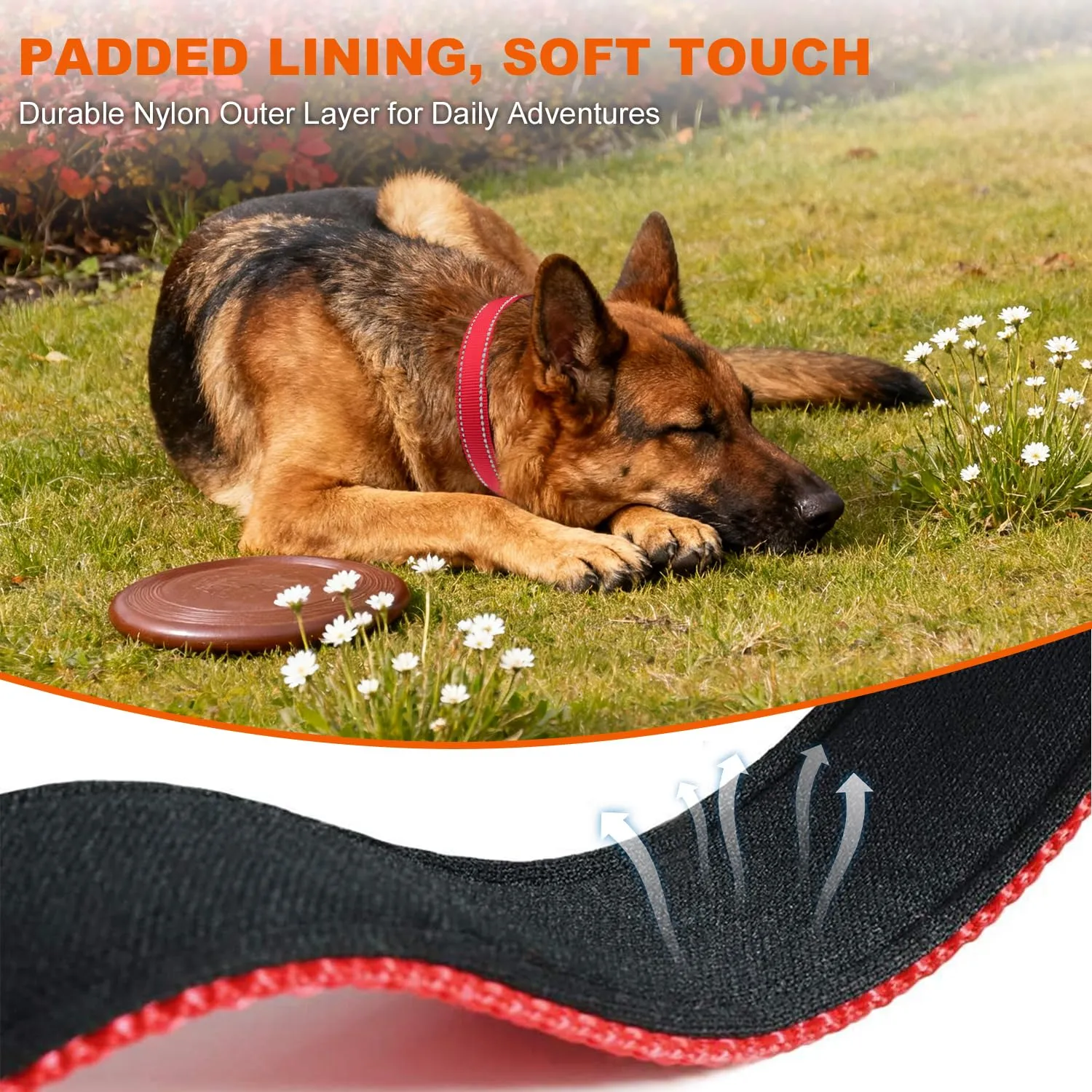 Taglory Collare per Cani in Nylon Imbottito Riflettente, Rosso, Taglia XL - immagine 4