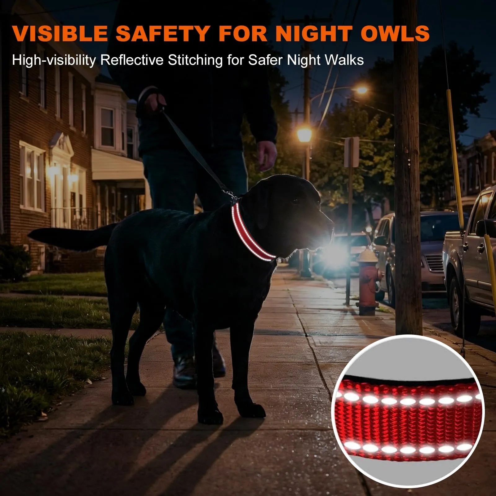 Taglory Collare per Cani in Nylon Imbottito Riflettente, Rosso, Taglia XL - immagine 5
