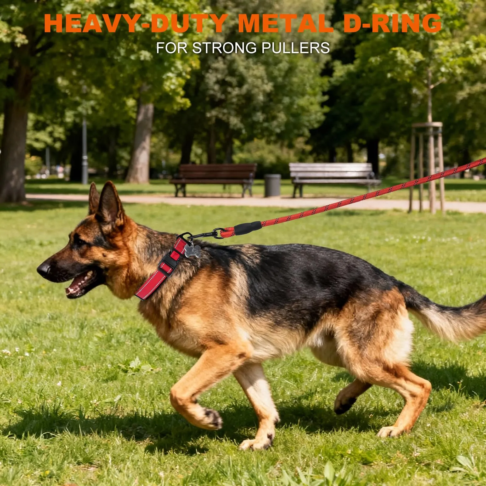 Taglory Collare per Cani in Nylon Imbottito Riflettente, Rosso, Taglia XL - immagine 6