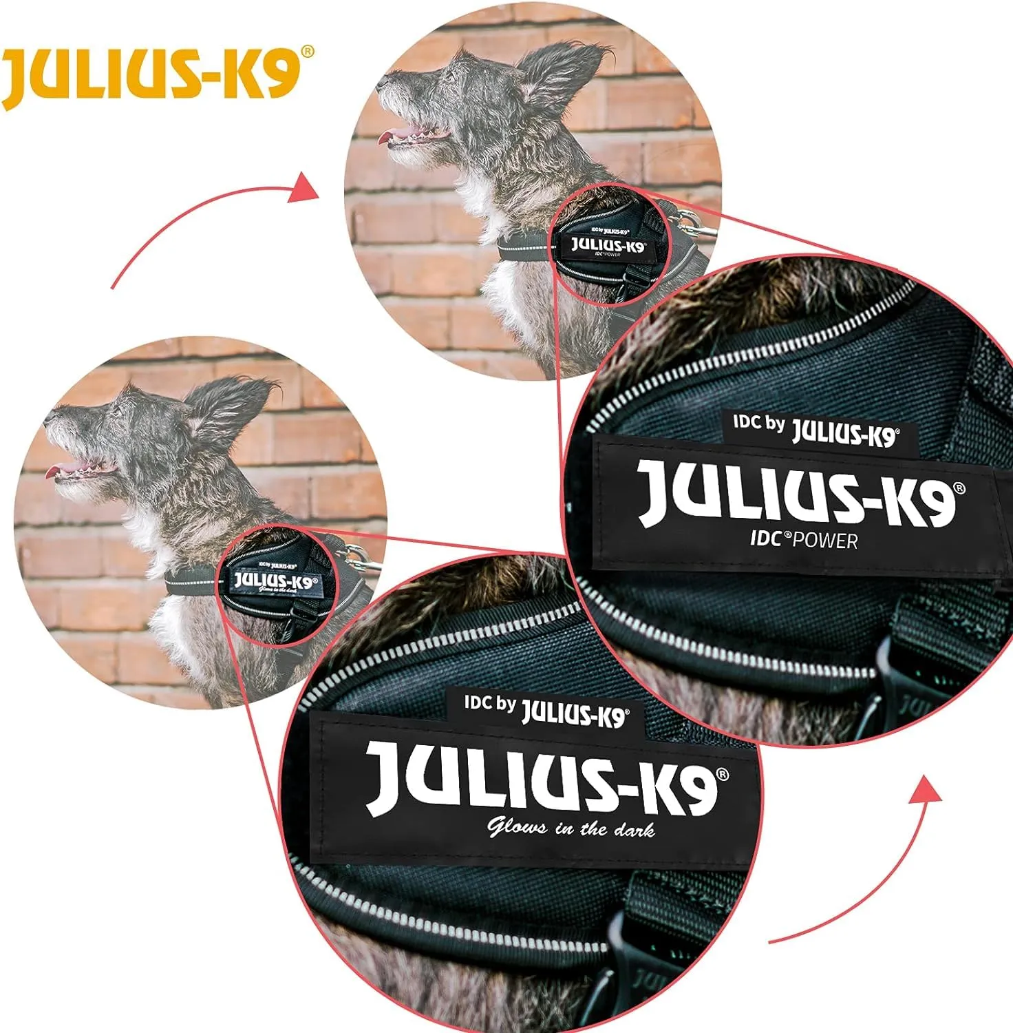 Julius-K9 IDC Power Harness, Baby 2, Nero - immagine 7