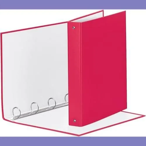 Esselte Meeting Raccoglitore ad anelli 4-30-Tondo, 22 x 30 cm, Fucsia, 395792900 - immagine 4