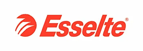 Esselte Meeting Raccoglitore ad Anelli 4-30 Tondo, 22 x 30 cm, Grigio Metallizzato, 395792970 - immagine 3