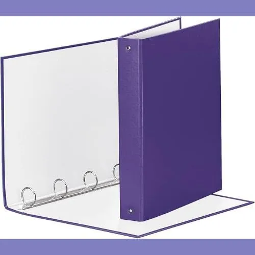 Esselte Meeting Raccoglitore ad Anelli 4-30-Tondo, 22 x 30 cm, Lilla, 395792950 - immagine 4