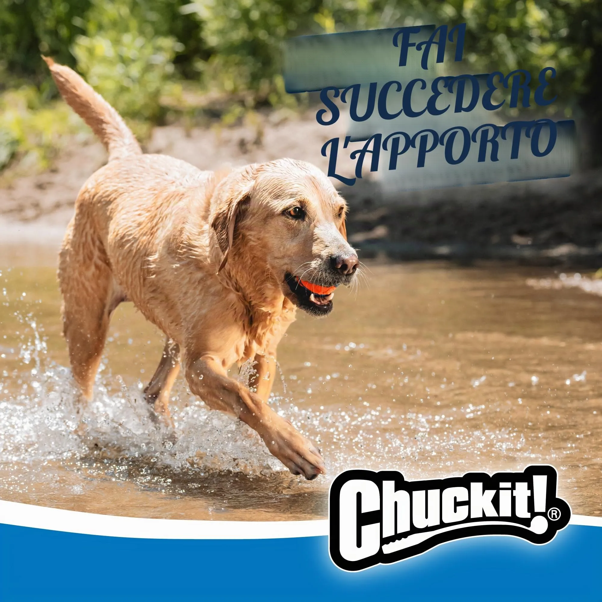 Chuckit! Ultra Ball Palla di Cane, XL, Orange - immagine 7