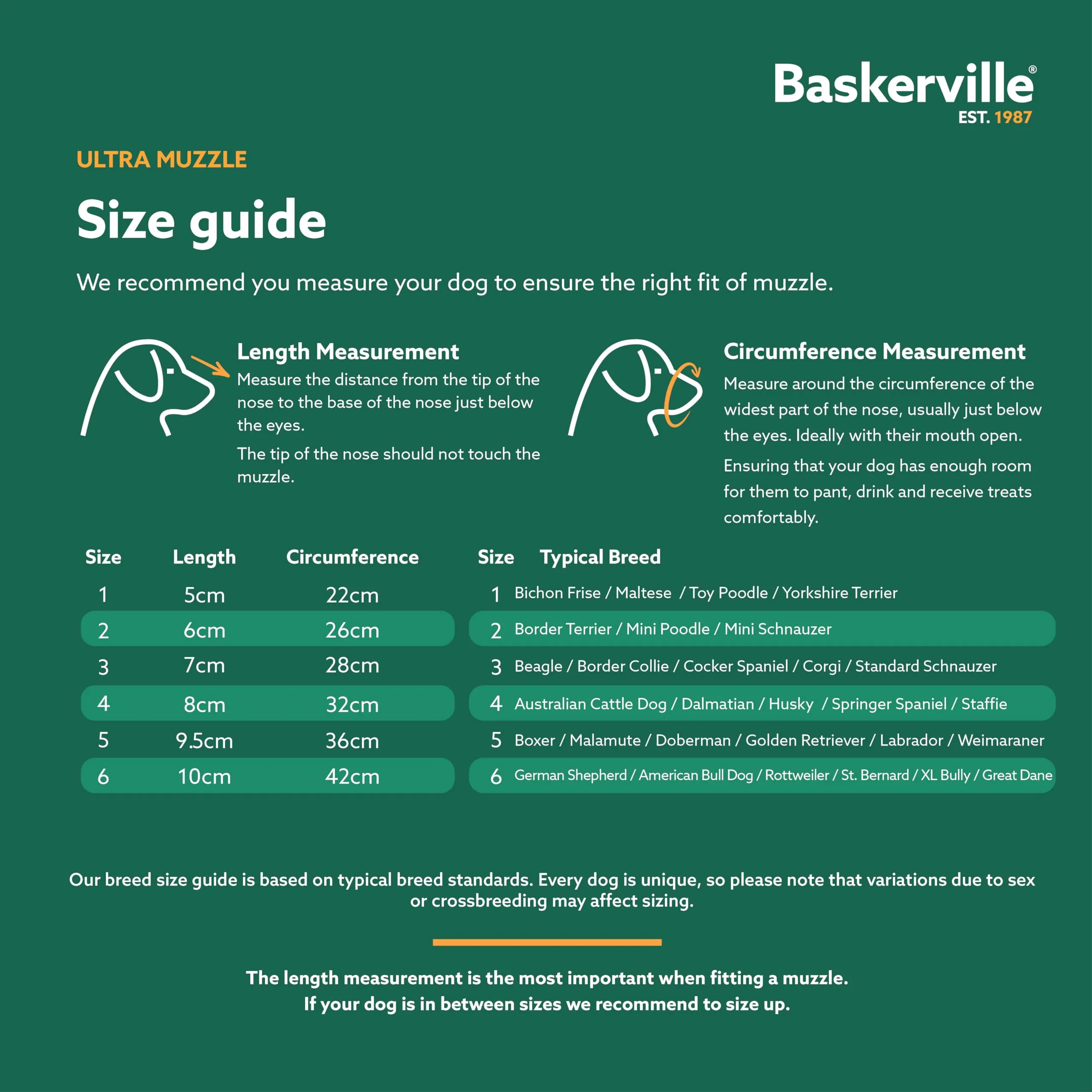 Baskerville Ultra Museruola per Cani, Taglia 4 - immagine 5