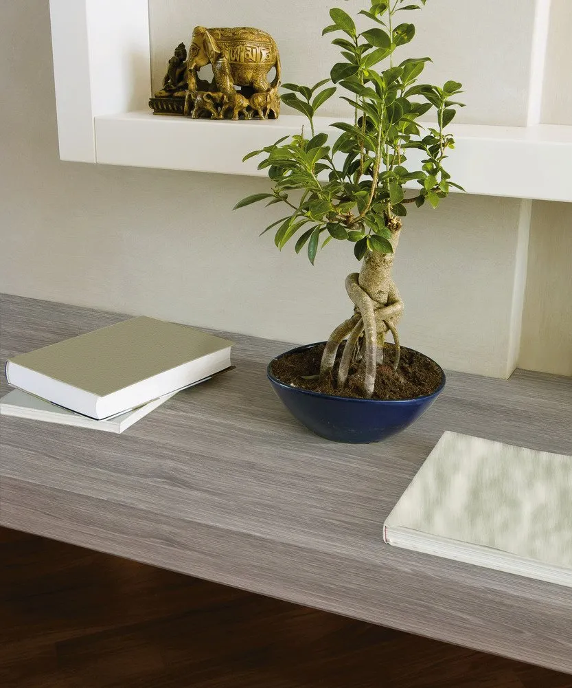 d-c-fix Pellicola Adesiva Mobili Sheffield Oak Grigio Perle 90 cm x 2,1 m - immagine 2