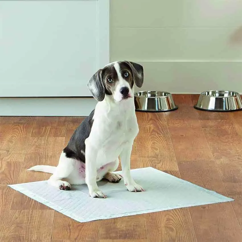 Croci Super Nappy Tappetini Igienici per Cani 60x90 cm 50 pz - immagine 3