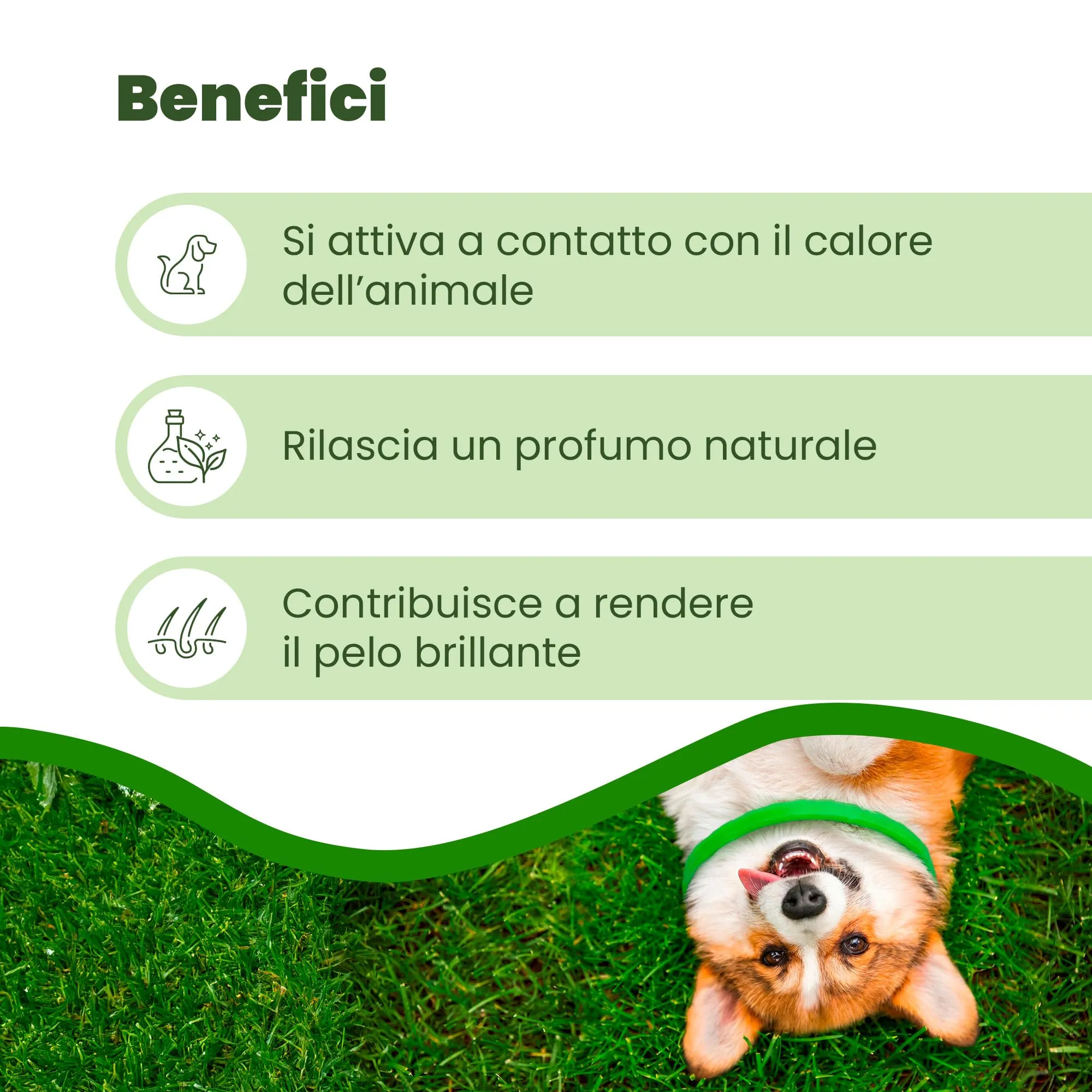 Camon Collare Barriera per Cane Olio di Neem, 60cm - immagine 3