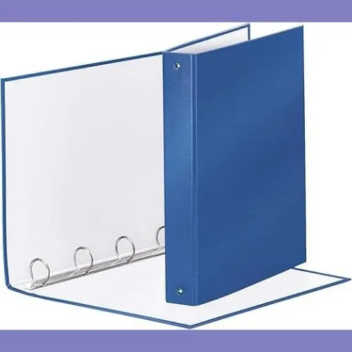 Esselte Meeting Raccoglitore ad Anelli 4-30 Tondo, 22 x 30 cm, Blu Metallizzato, 395792960 - immagine 4