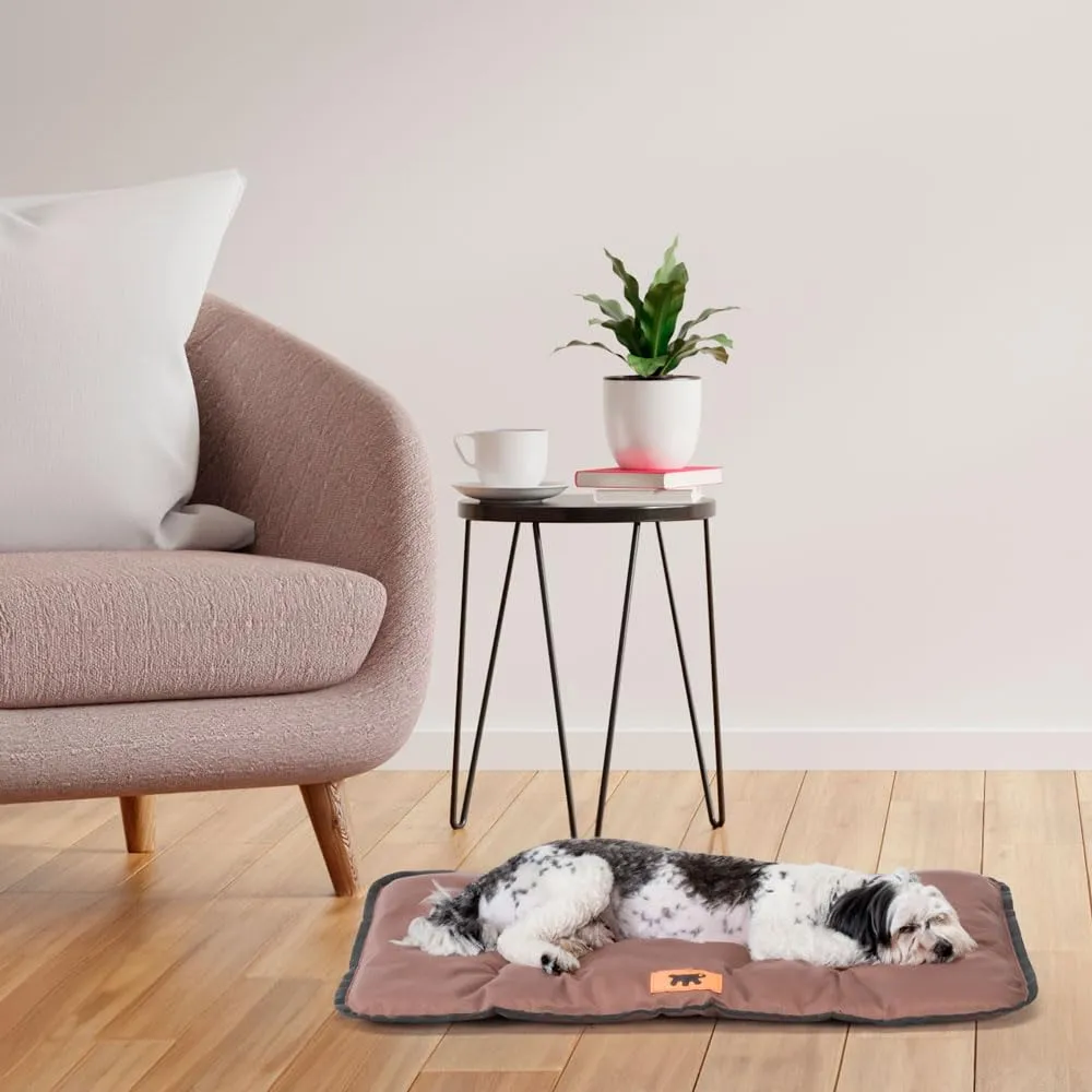 Ferplast Jolly Cuccia Cane e Gatto Antigraffio e Impermeabile, Taglia Piccola, 57 x 38 x 3,5 cm, Marrone - immagine 2
