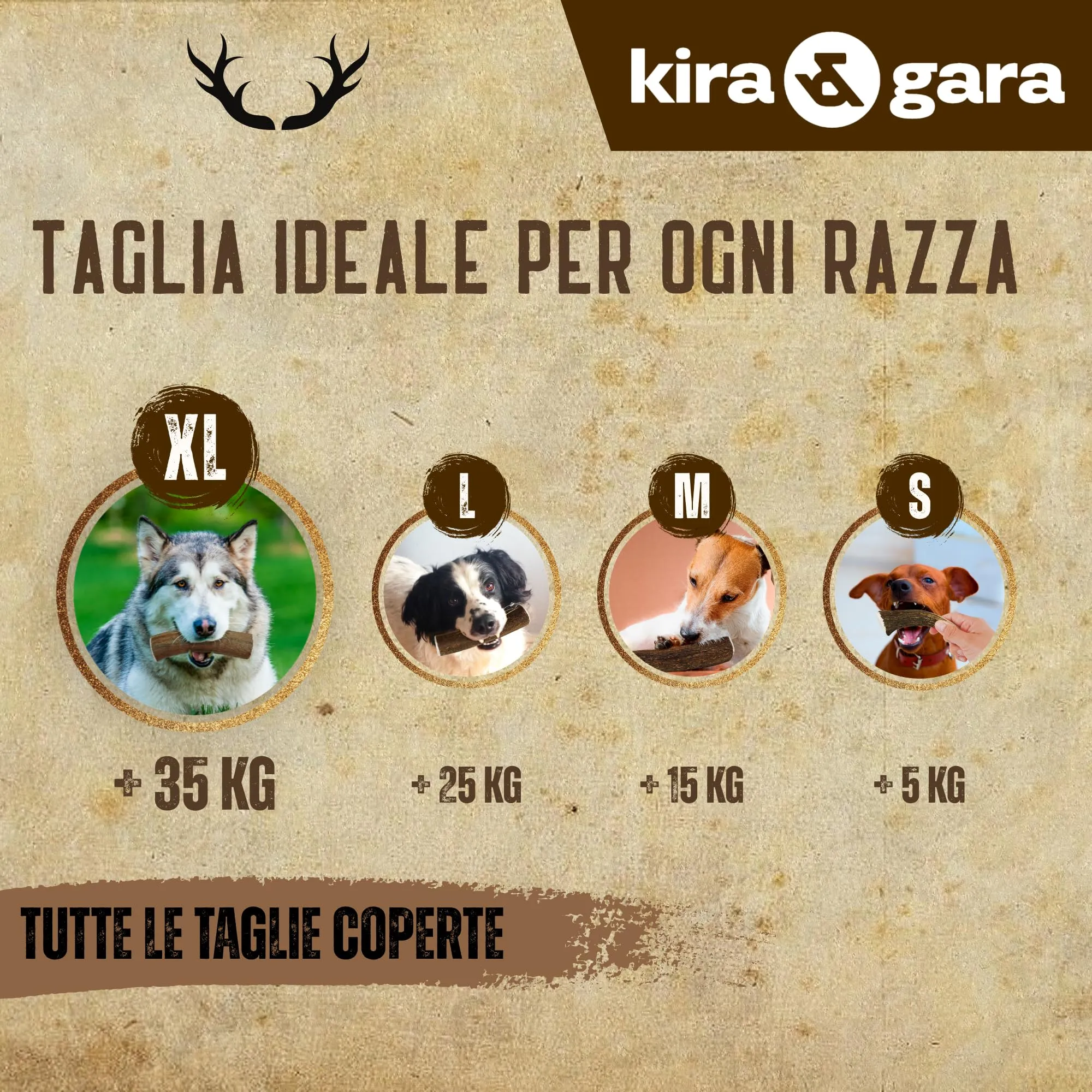 Kira & Gara Corno di Cervo Naturale per Cani XL (200-240g, 1pz) - immagine 3