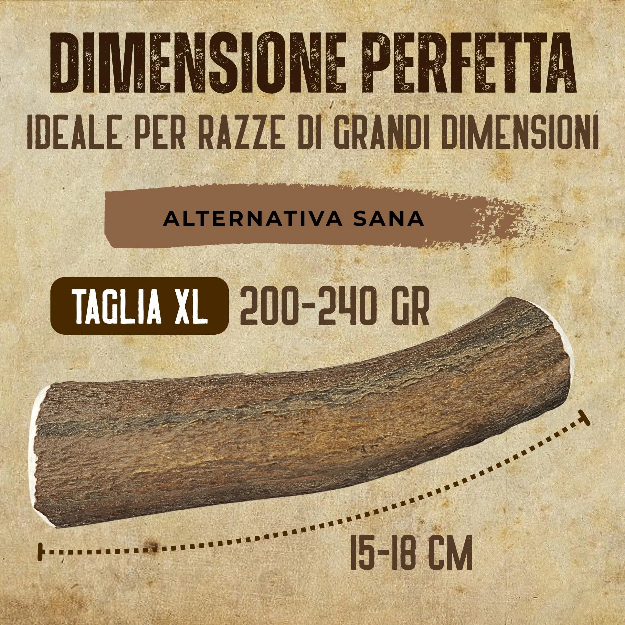 Kira & Gara Corno di Cervo Naturale per Cani XL (200-240g, 1pz) - immagine 4