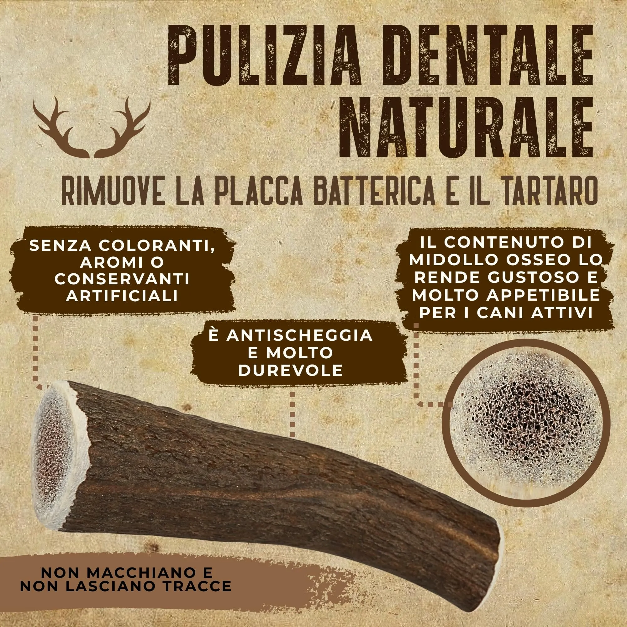 Kira & Gara Corno di Cervo Naturale per Cani XL (200-240g, 1pz) - immagine 5