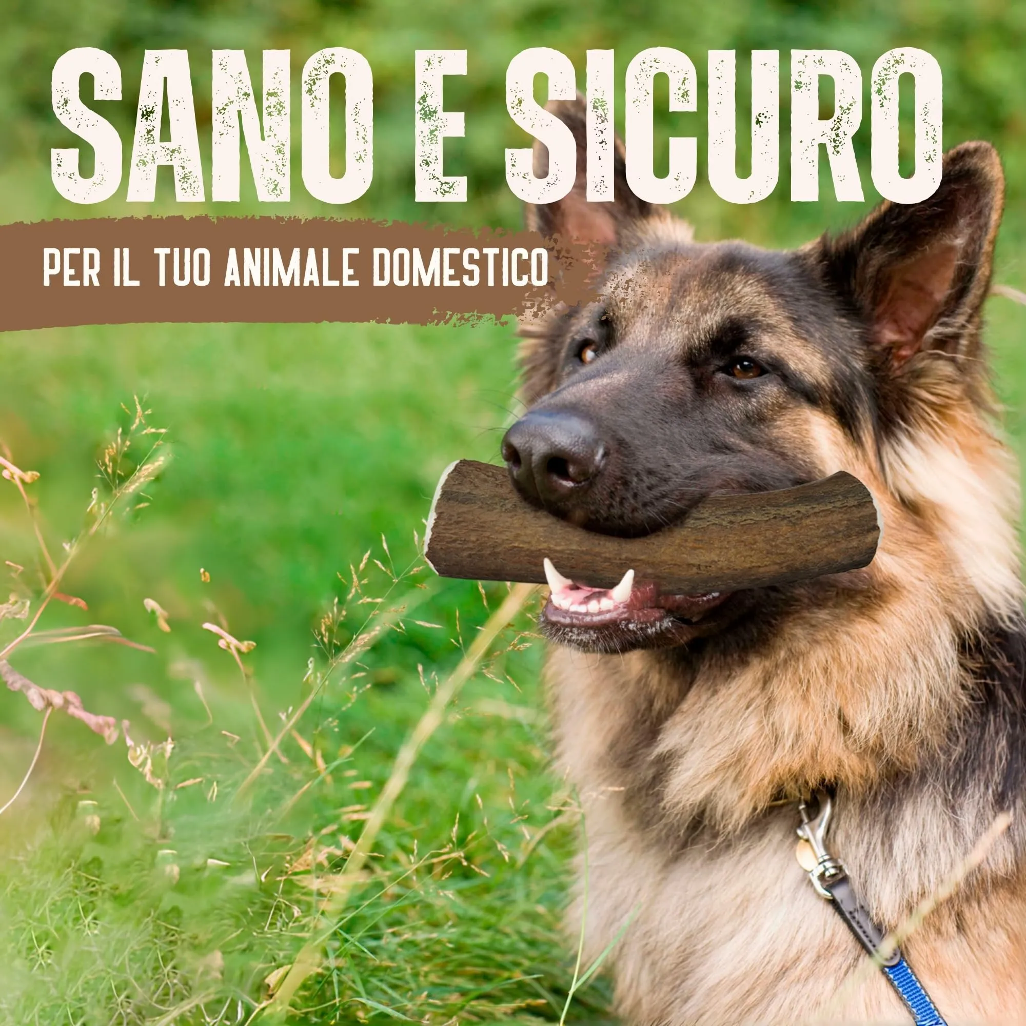 Kira & Gara Corno di Cervo Naturale per Cani XL (200-240g, 1pz) - immagine 7