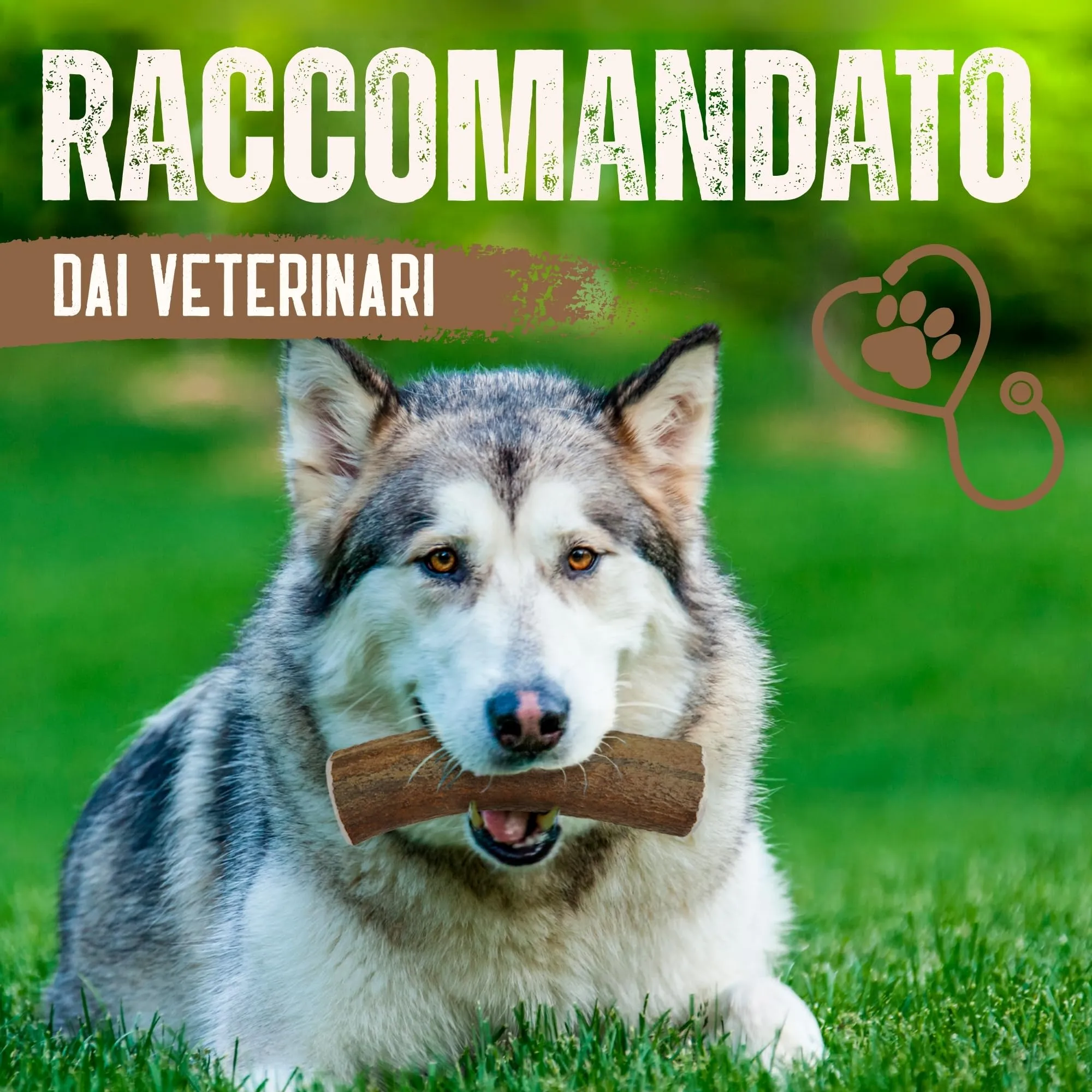 Kira & Gara Corno di Cervo Naturale per Cani XL (200-240g, 1pz) - immagine 8