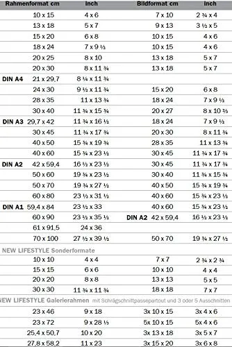 walther design New Lifestyle Plastic Frame, Acciaio, 40 x 60 cm, KV460D - immagine 6